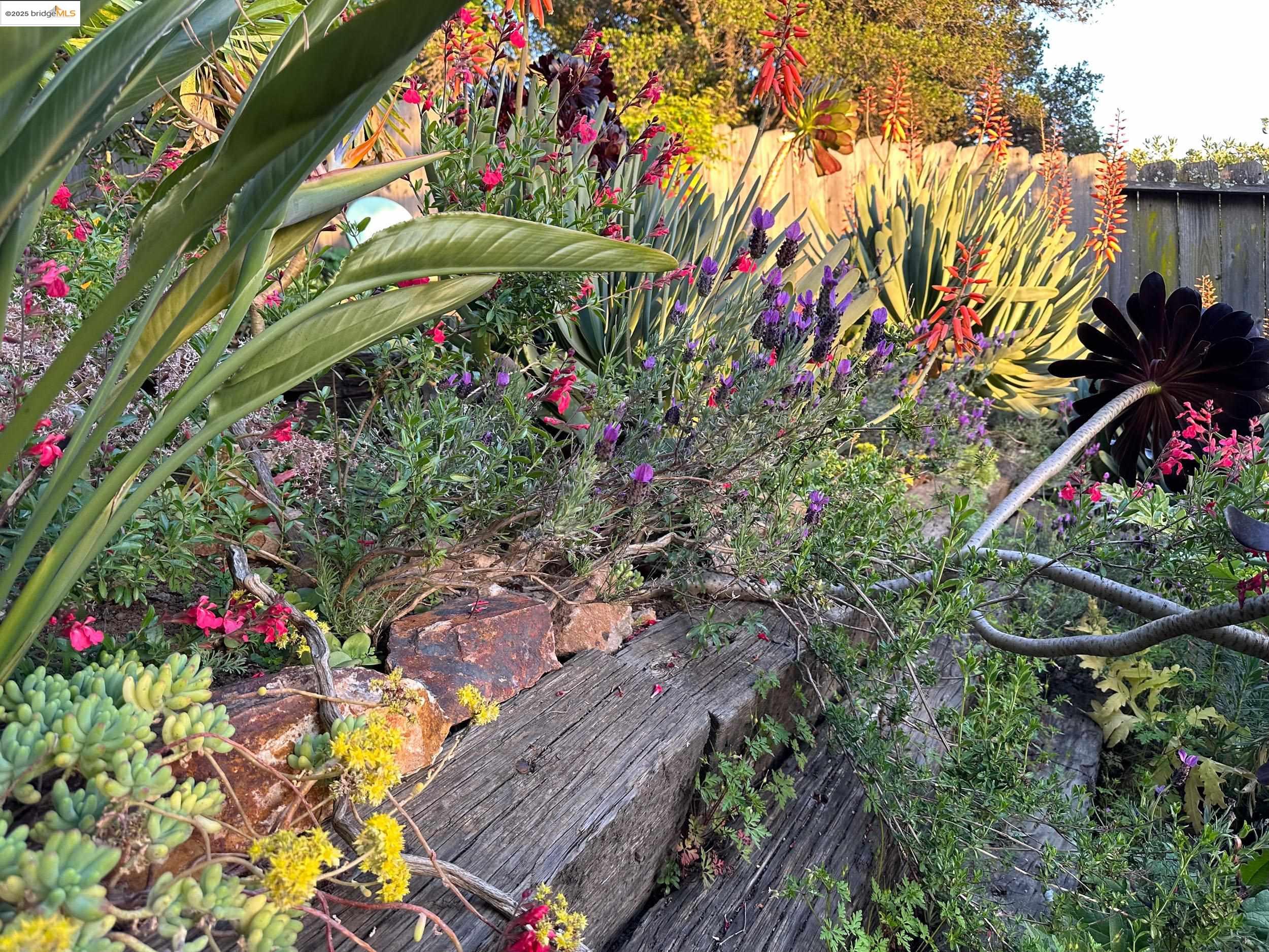 Detail Gallery Image 34 of 41 For 4686 Davenport Ave, Oakland,  CA 94619 - 2 Beds | 1 Baths