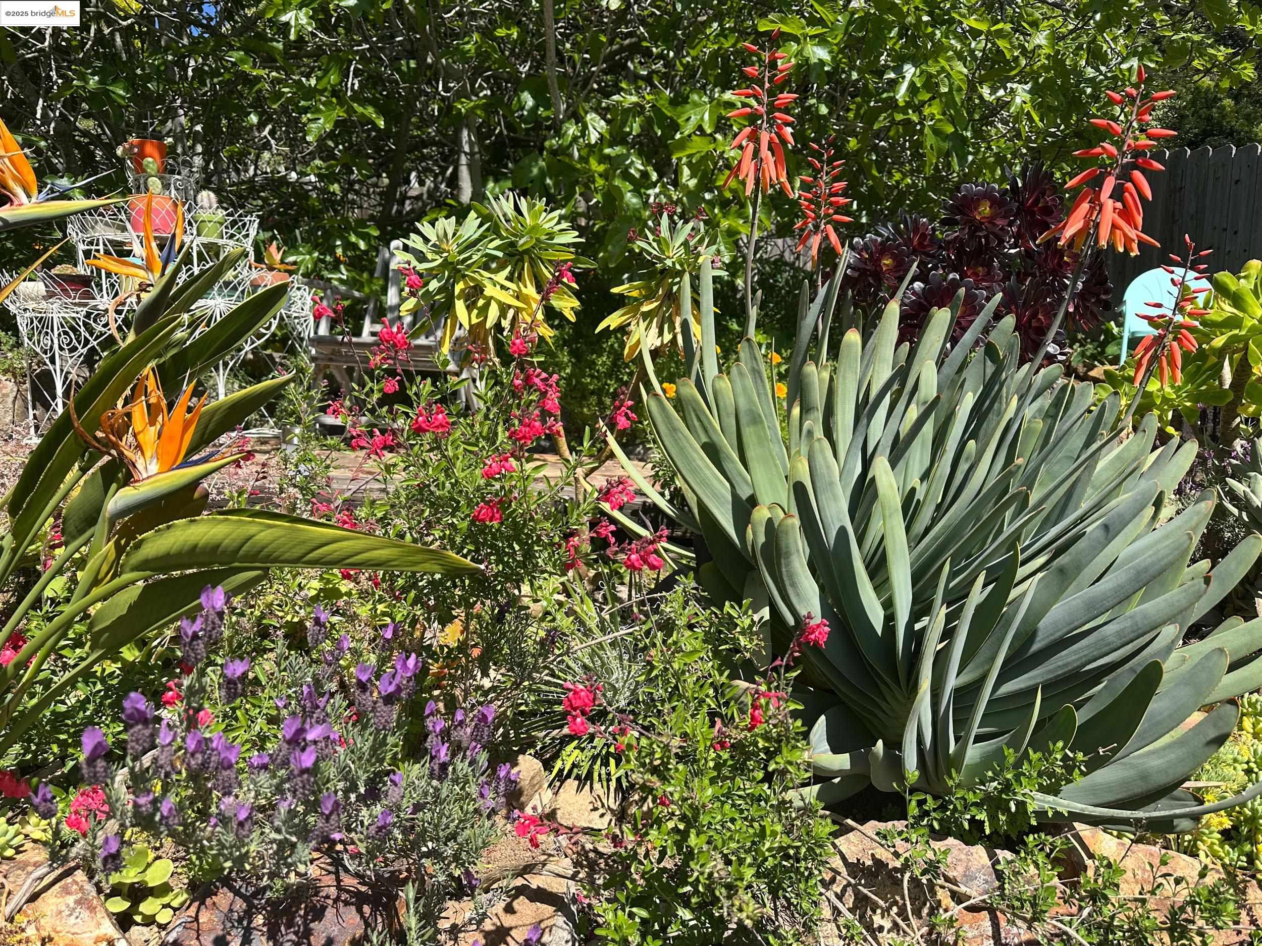 Detail Gallery Image 38 of 41 For 4686 Davenport Ave, Oakland,  CA 94619 - 2 Beds | 1 Baths