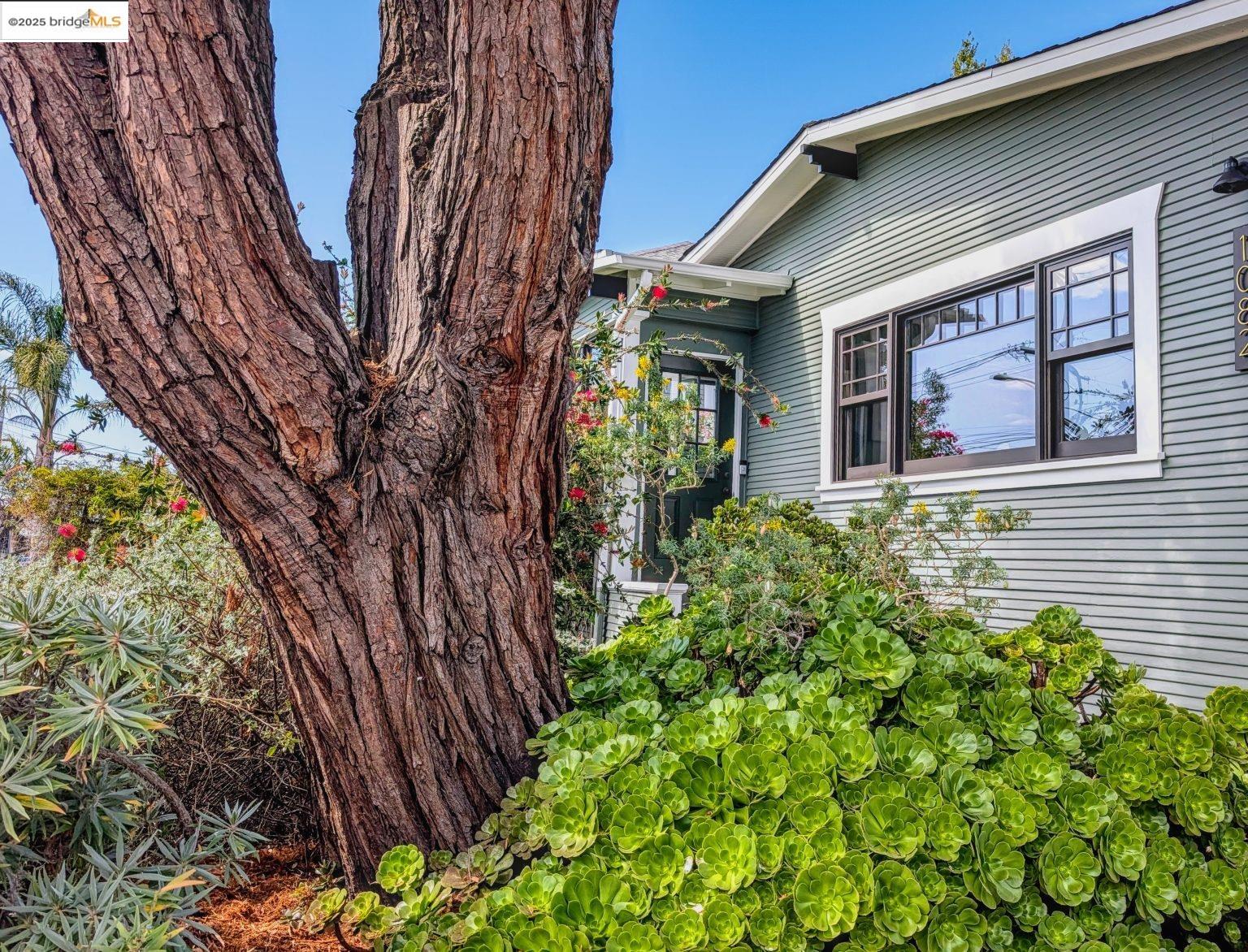 Front Image Thumbnail for EB41112842