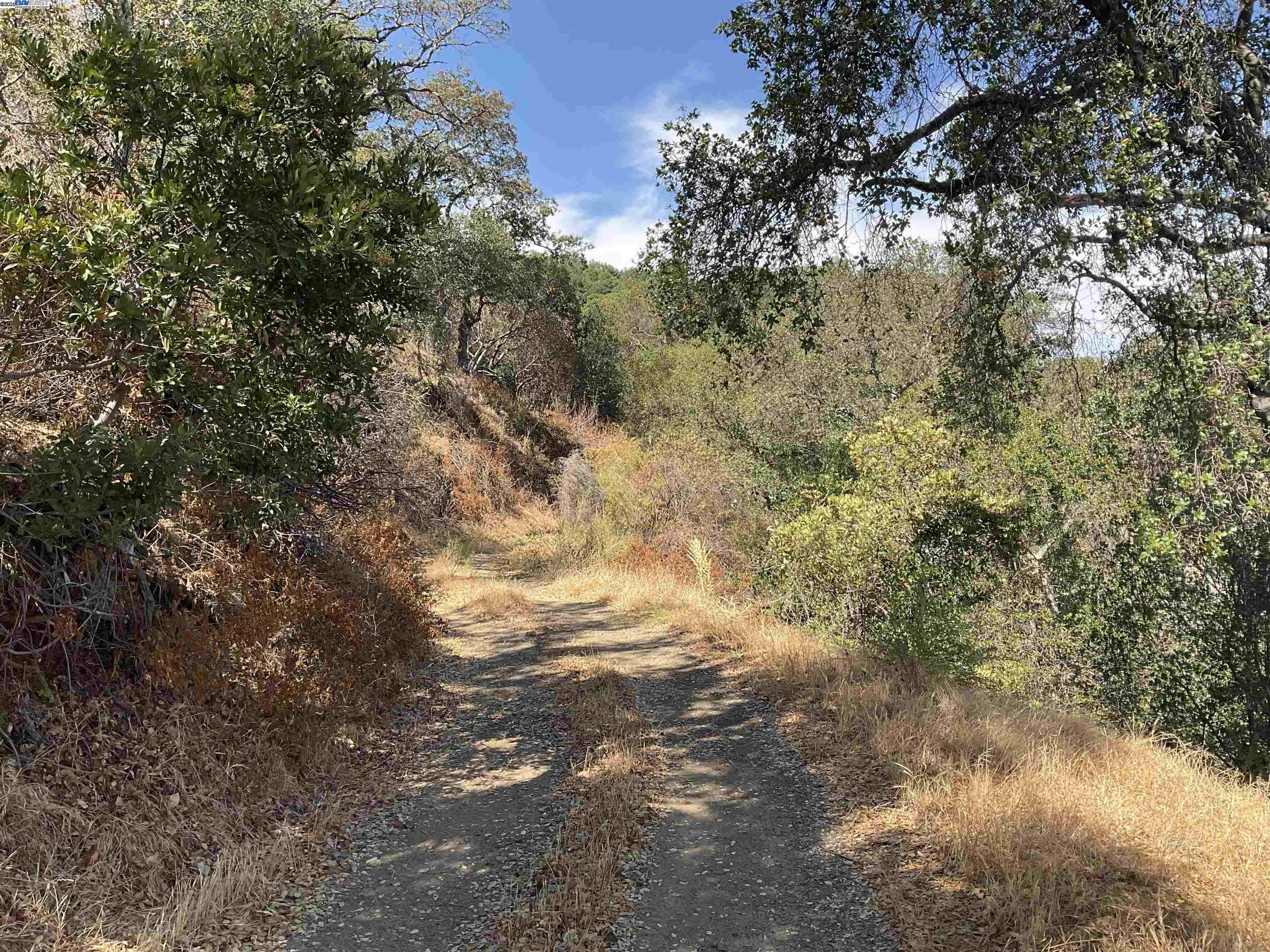 Detail Gallery Image 11 of 25 For 3984 Foothill Rd, Pleasanton,  CA 94588 - – Beds | – Baths