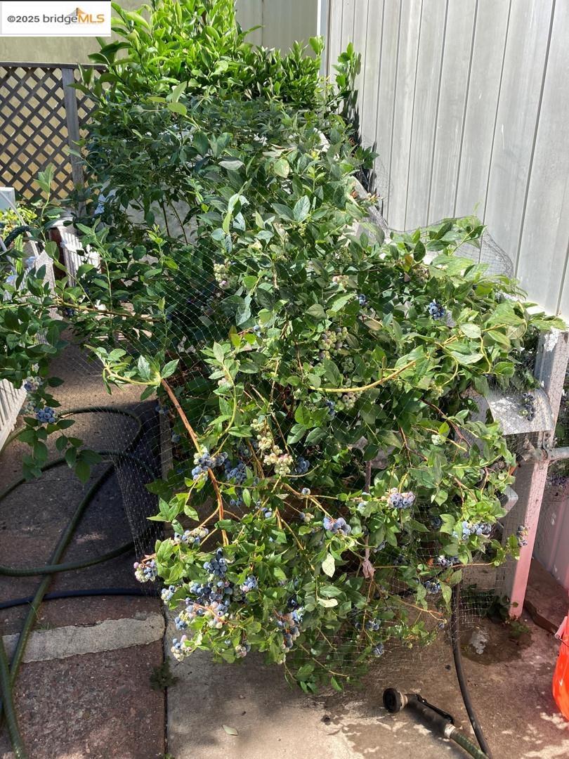 Detail Gallery Image 19 of 20 For 6781 Evergreen Ave, Sebastopol,  CA 95472 - 2 Beds | 2 Baths