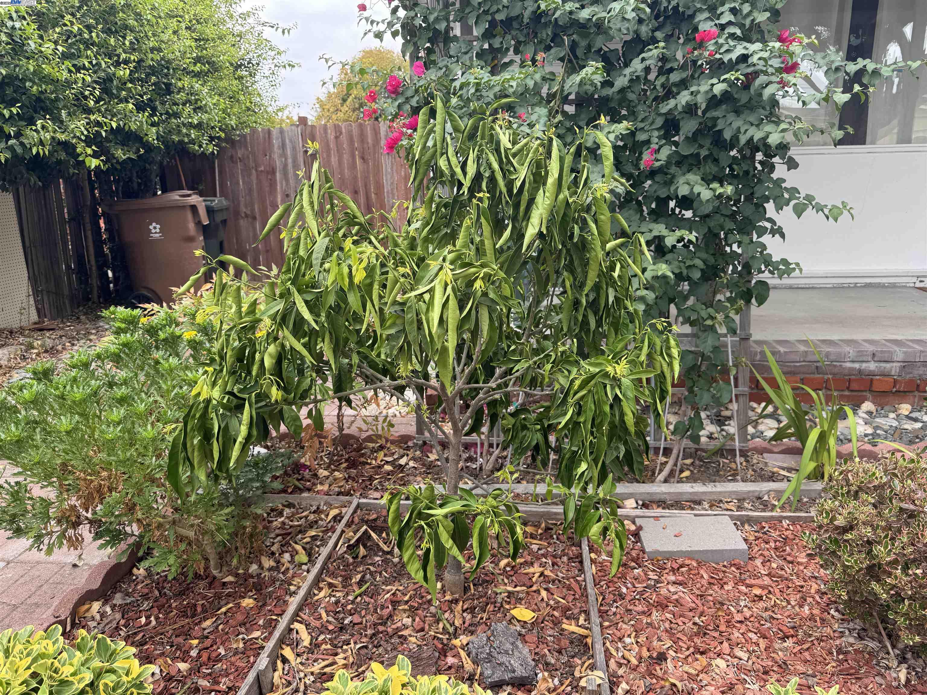 Detail Gallery Image 41 of 50 For 1241 Raymond Dr, Pacheco,  CA 94553 - 3 Beds | 2 Baths