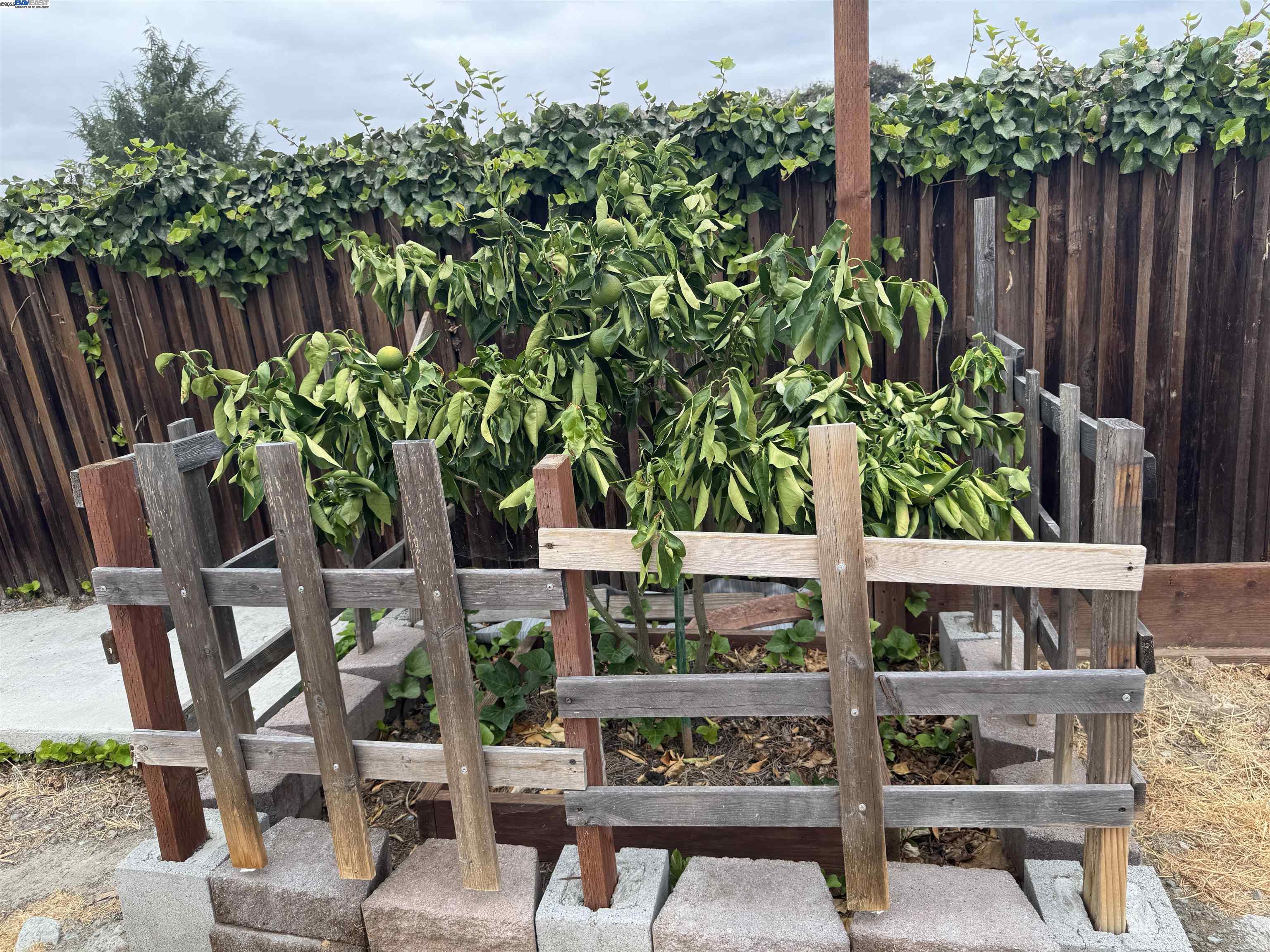 Detail Gallery Image 44 of 50 For 1241 Raymond Dr, Pacheco,  CA 94553 - 3 Beds | 2 Baths