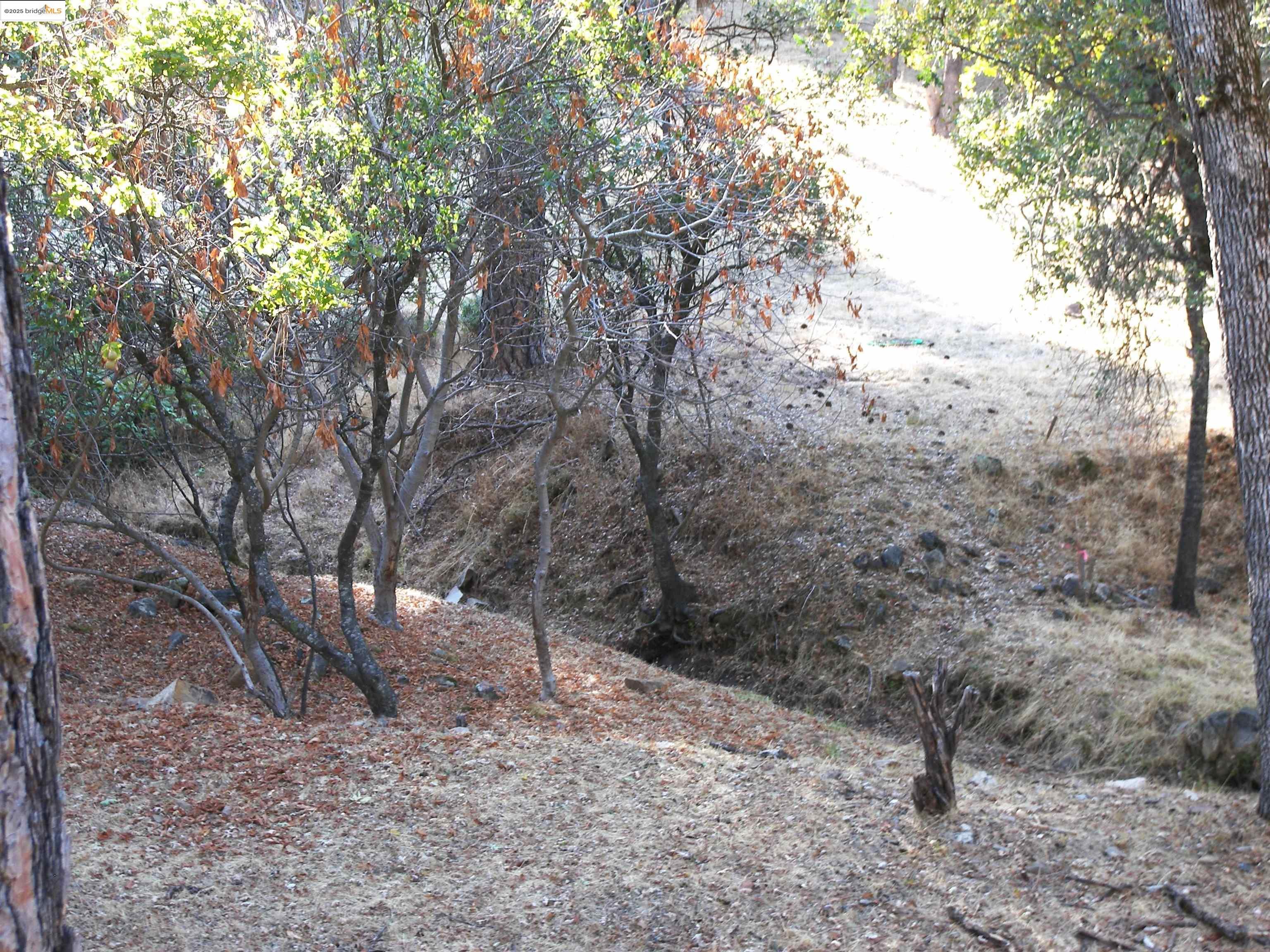 Detail Gallery Image 23 of 31 For 13024 Gamble St., Groveland,  CA 95321 - 3 Beds | 1 Baths