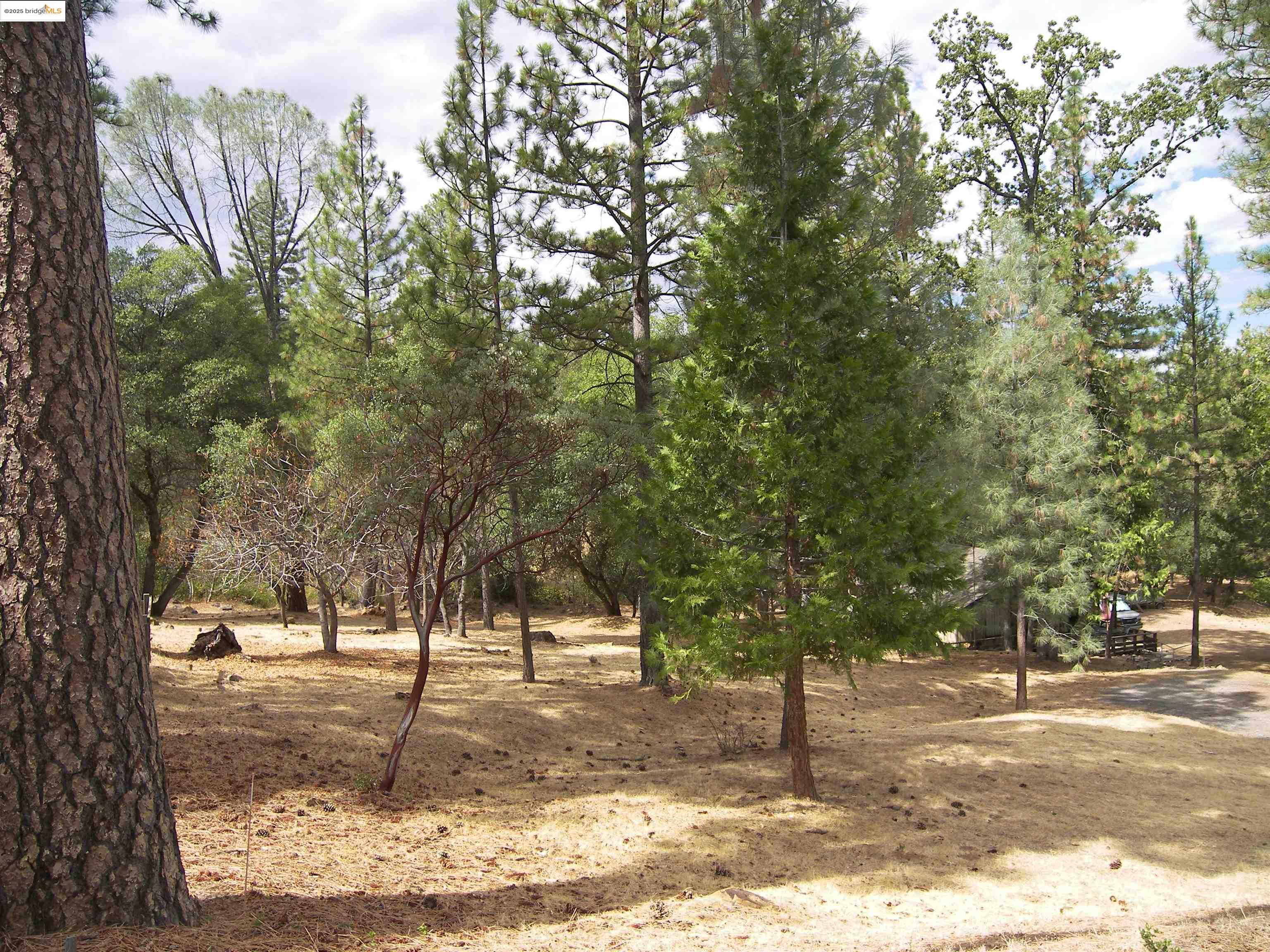 Detail Gallery Image 28 of 31 For 13024 Gamble St., Groveland,  CA 95321 - 3 Beds | 1 Baths