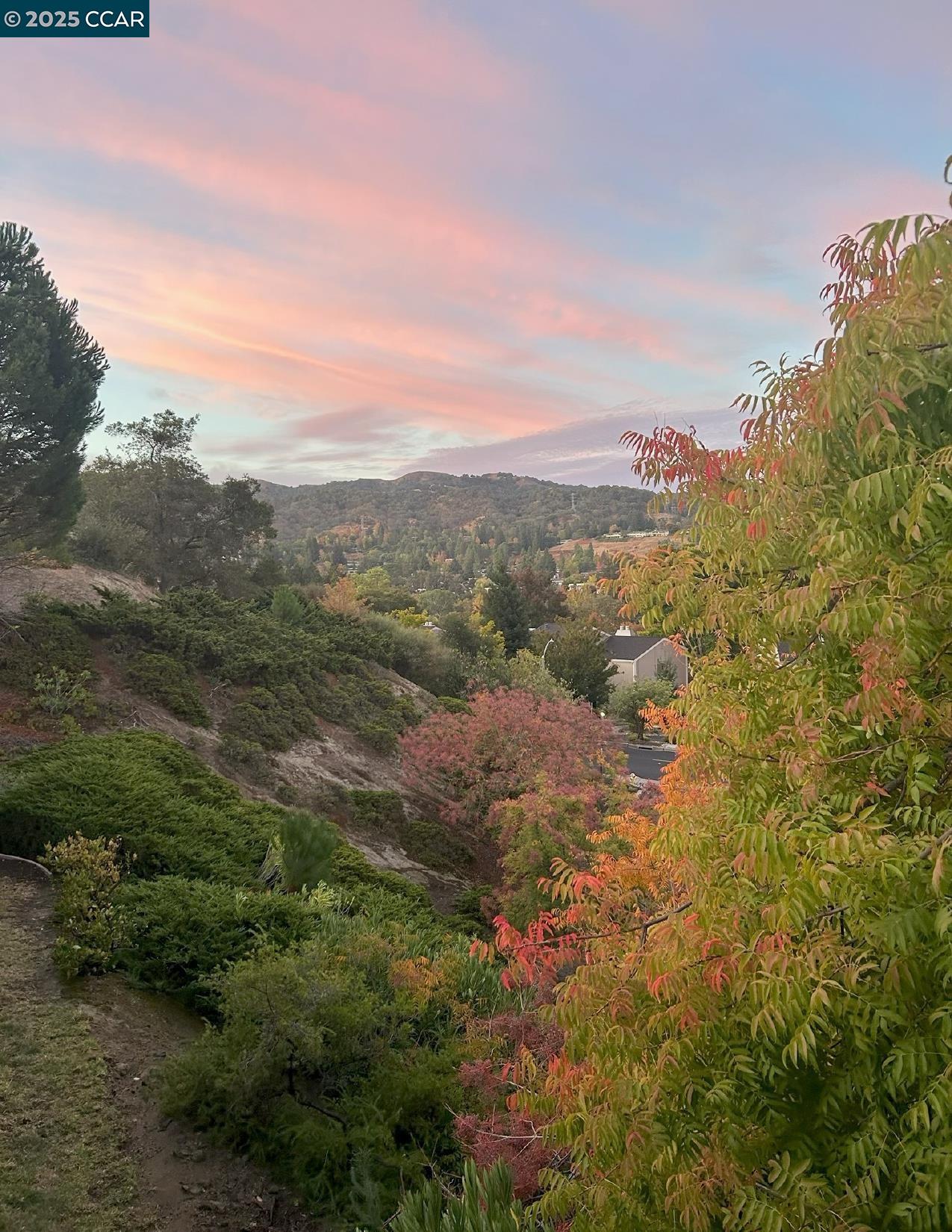 Photo #21: 41113072 Listing: Photo #21