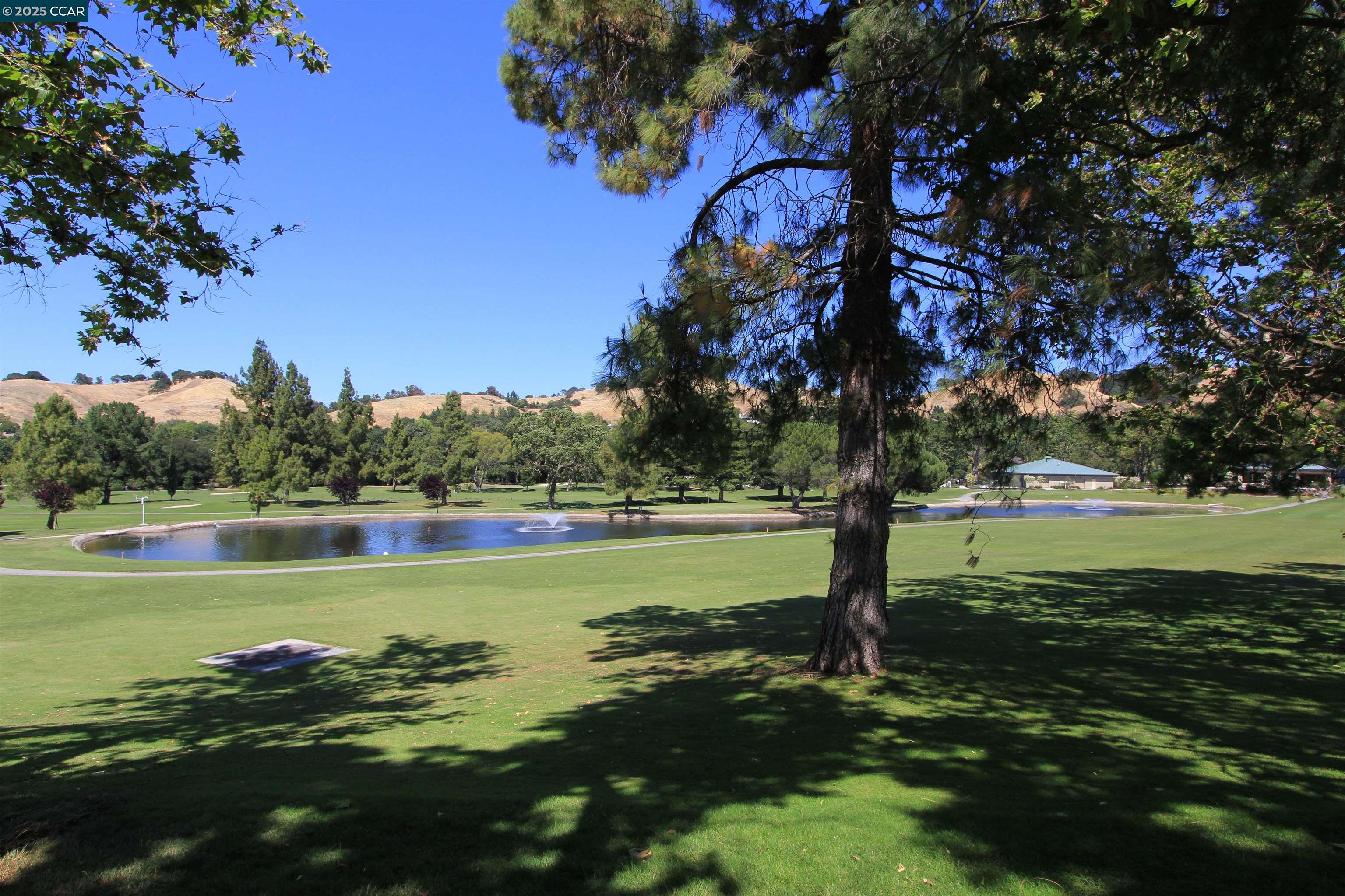 Photo #38: 41113072 Listing: Photo #38