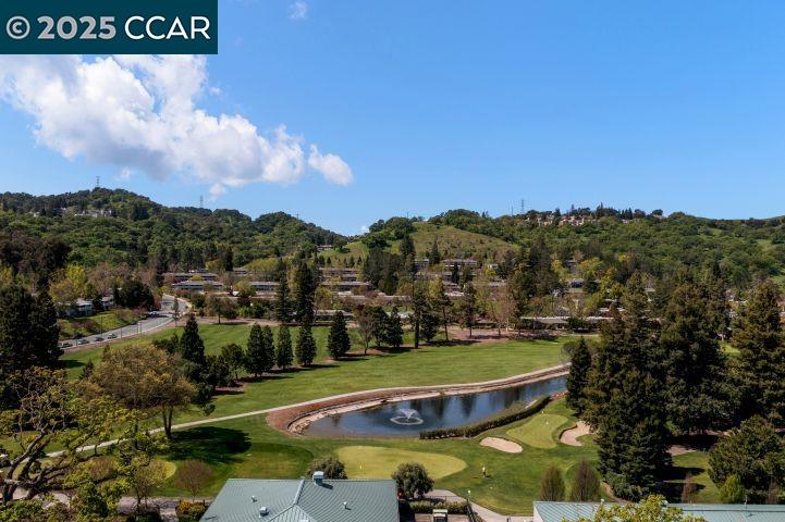 Photo #39: 41113072 Listing: Photo #39