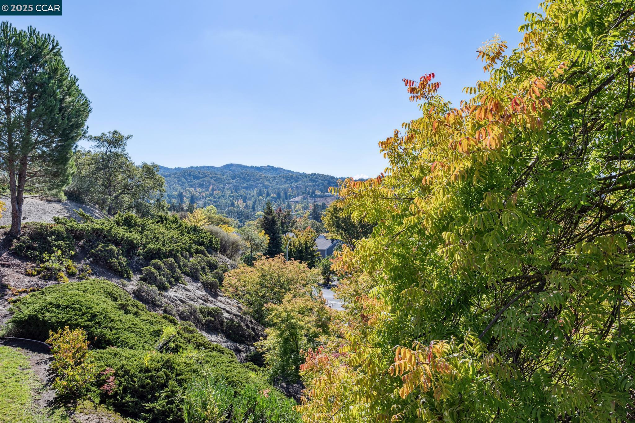 Photo #7: 41113072 Listing: Photo #7