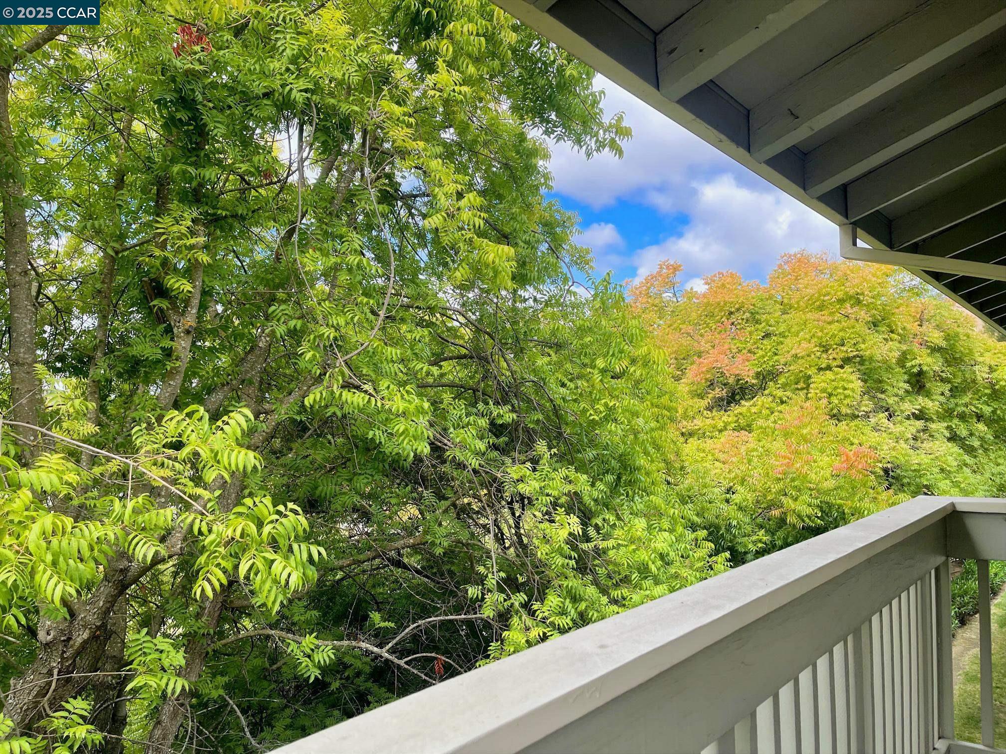 Photo #8: 41113072 Listing: Photo #8