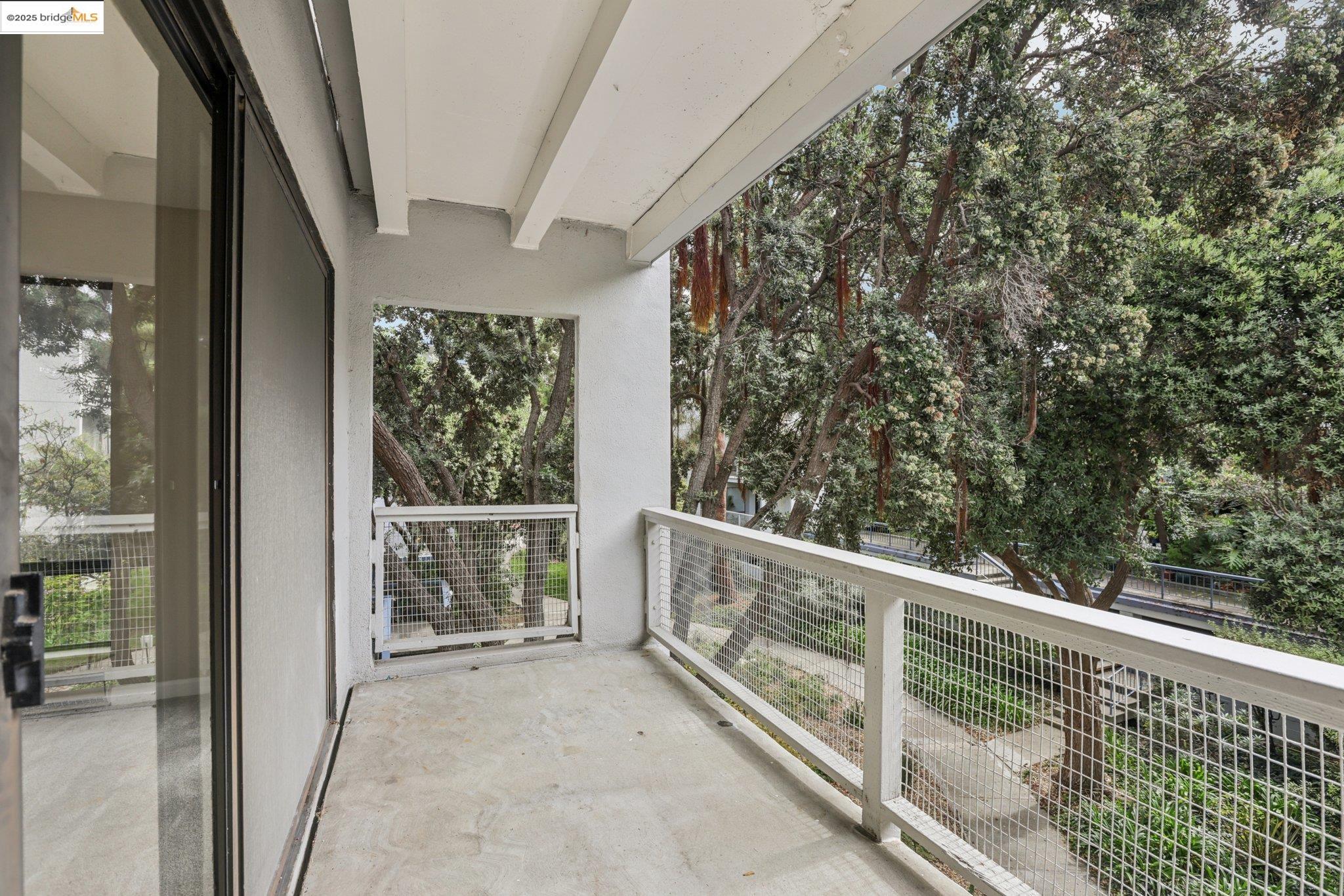 Photo #6: 41113133 Listing 
