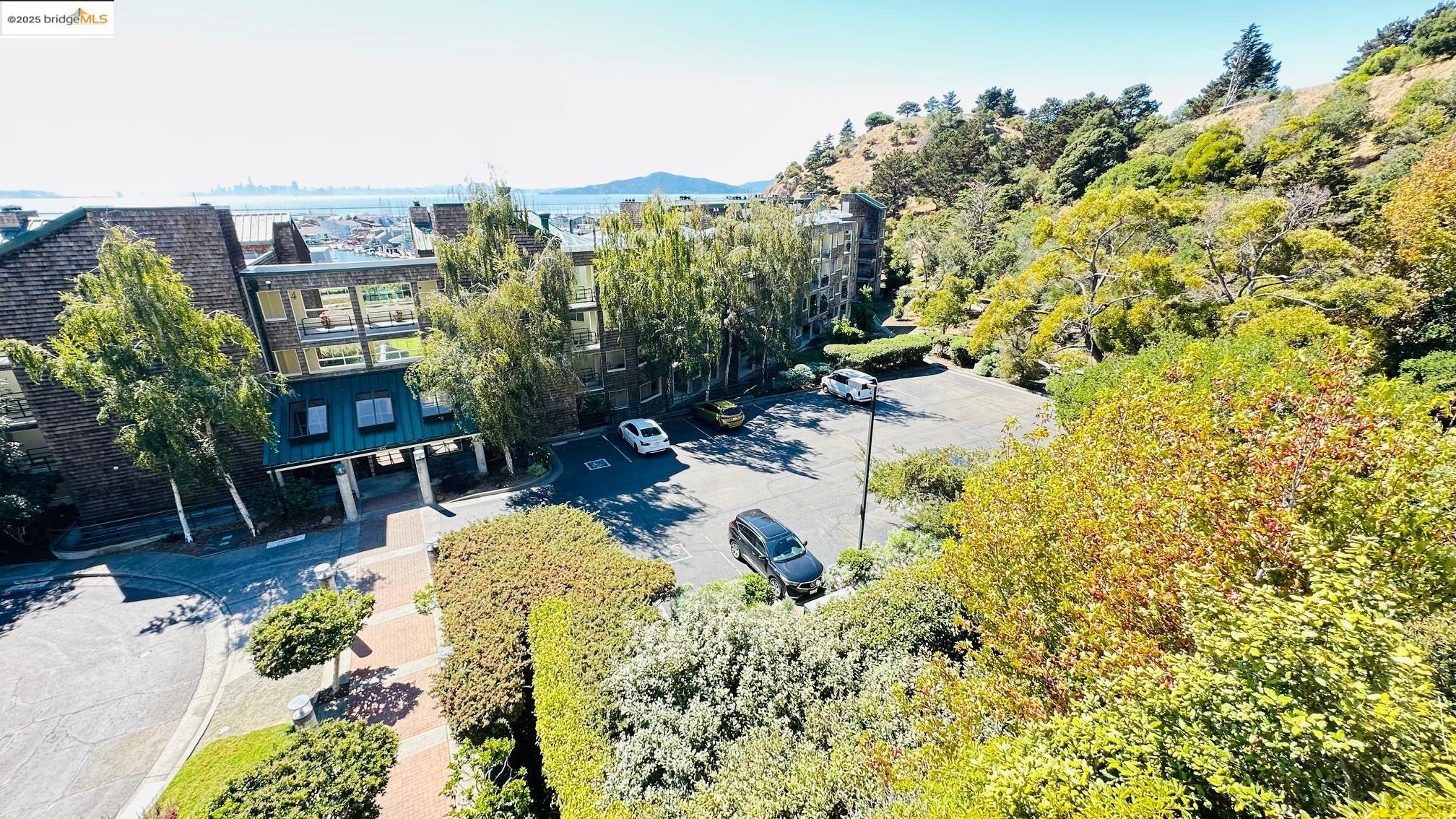 Photo #38: 41113143 Listing: Photo #38