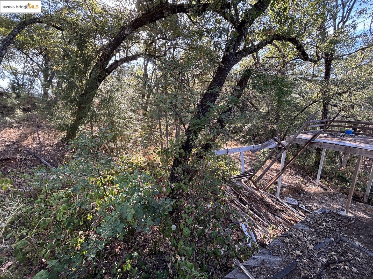 Detail Gallery Image 50 of 50 For 16584 Kiwi Rd, Grass Valley,  CA 95949 - 3 Beds | 2/1 Baths