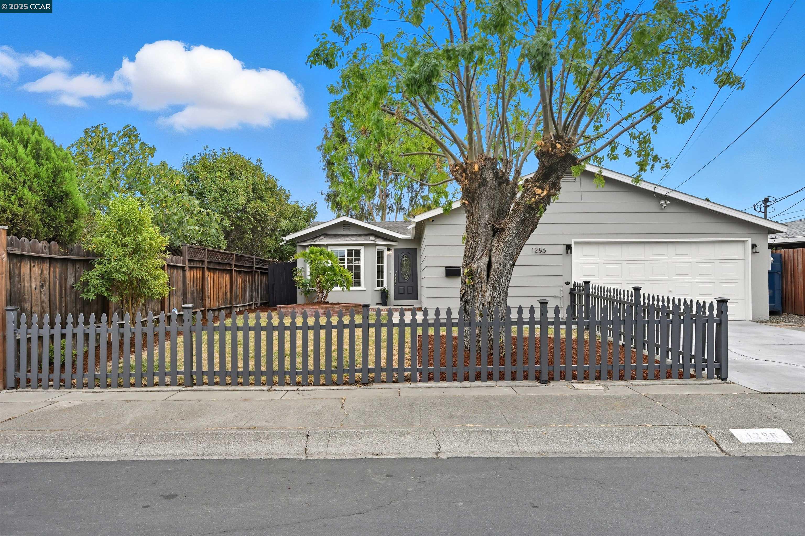 Front Image Thumbnail for CC41113206