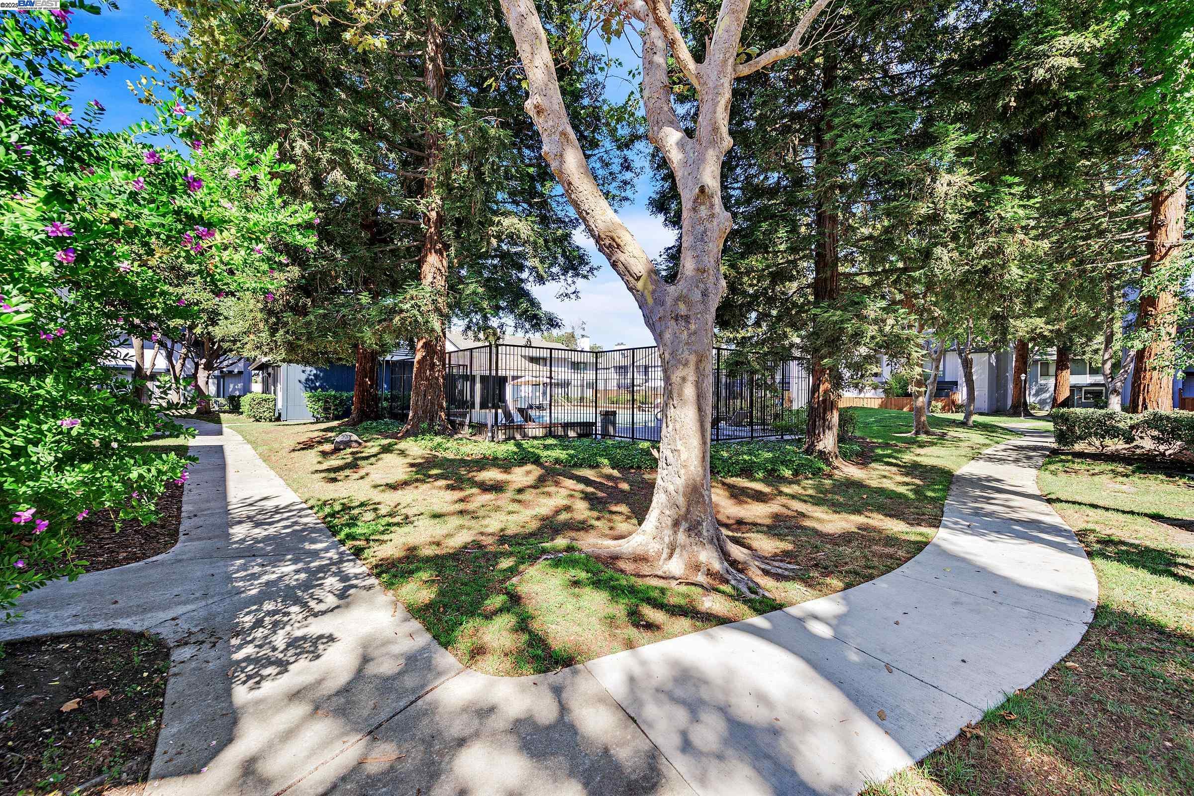 Photo #29: 41113215 Listing: Photo #29