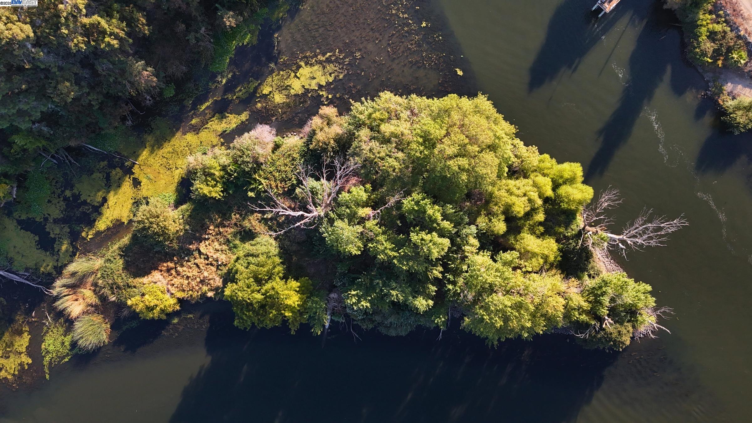 Detail Gallery Image 11 of 17 For Goldrift Island, Byron,  CA 94514 - – Beds | – Baths