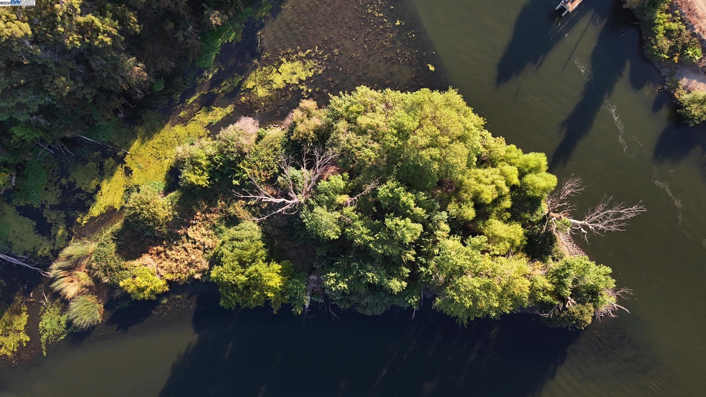 Detail Gallery Image 7 of 17 For Goldrift Island, Byron,  CA 94514 - – Beds | – Baths