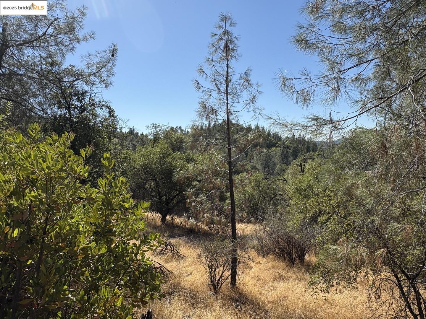 Front Image Thumbnail for EB41113230