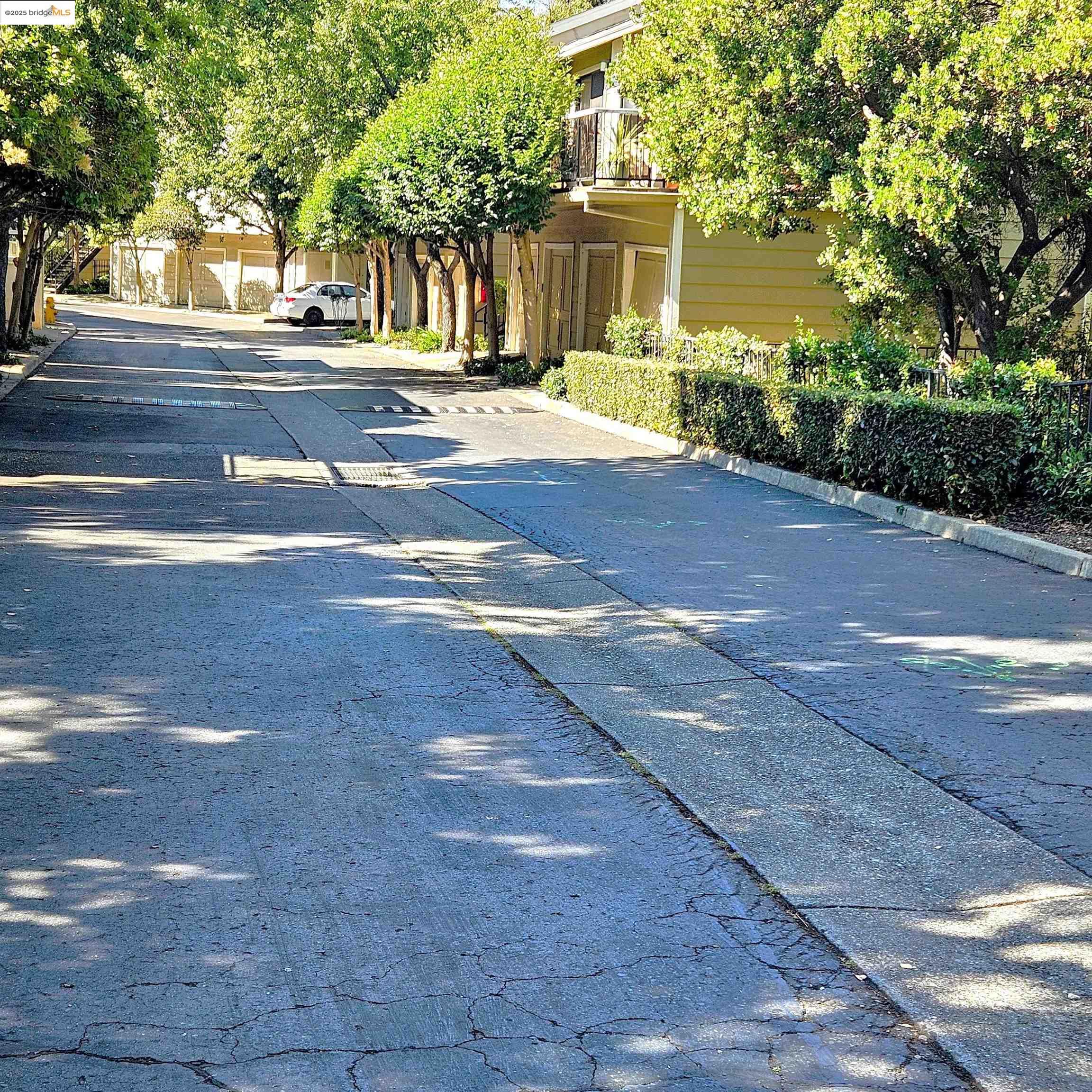 Photo #37: 41113257 Listing: Photo #37