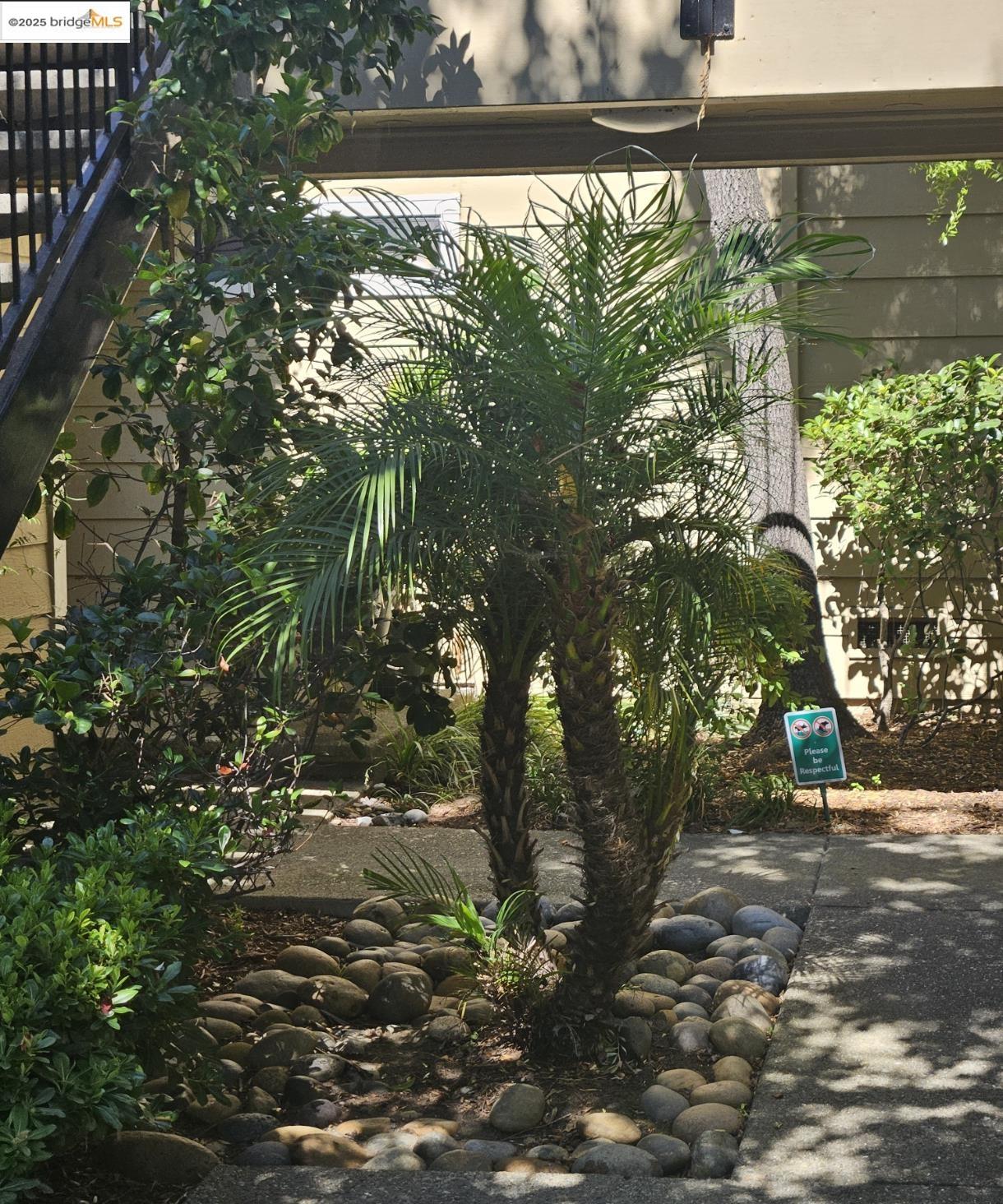 Photo #7: 41113257 Listing: Photo #7