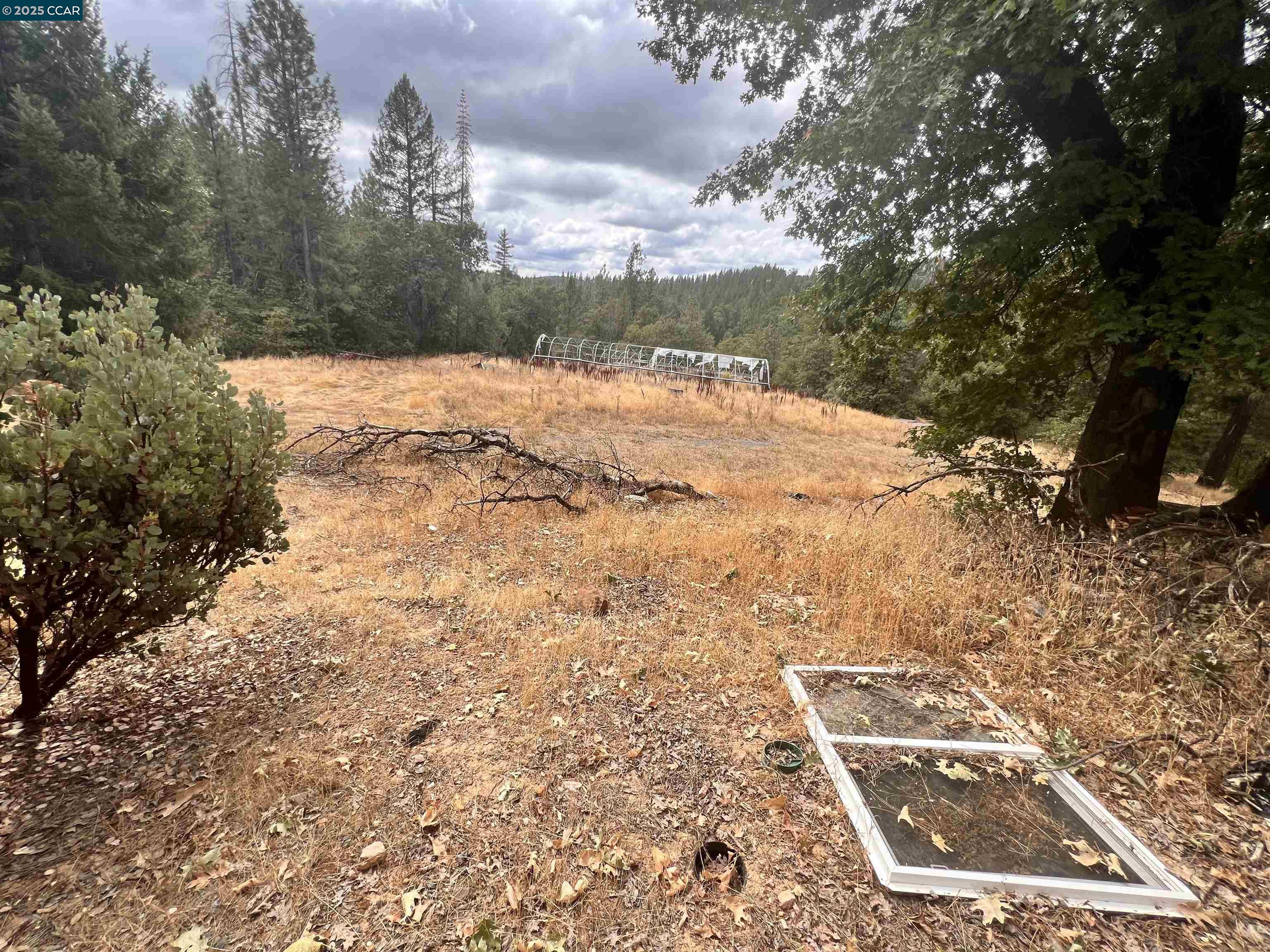 Front Image Thumbnail for CC41113281