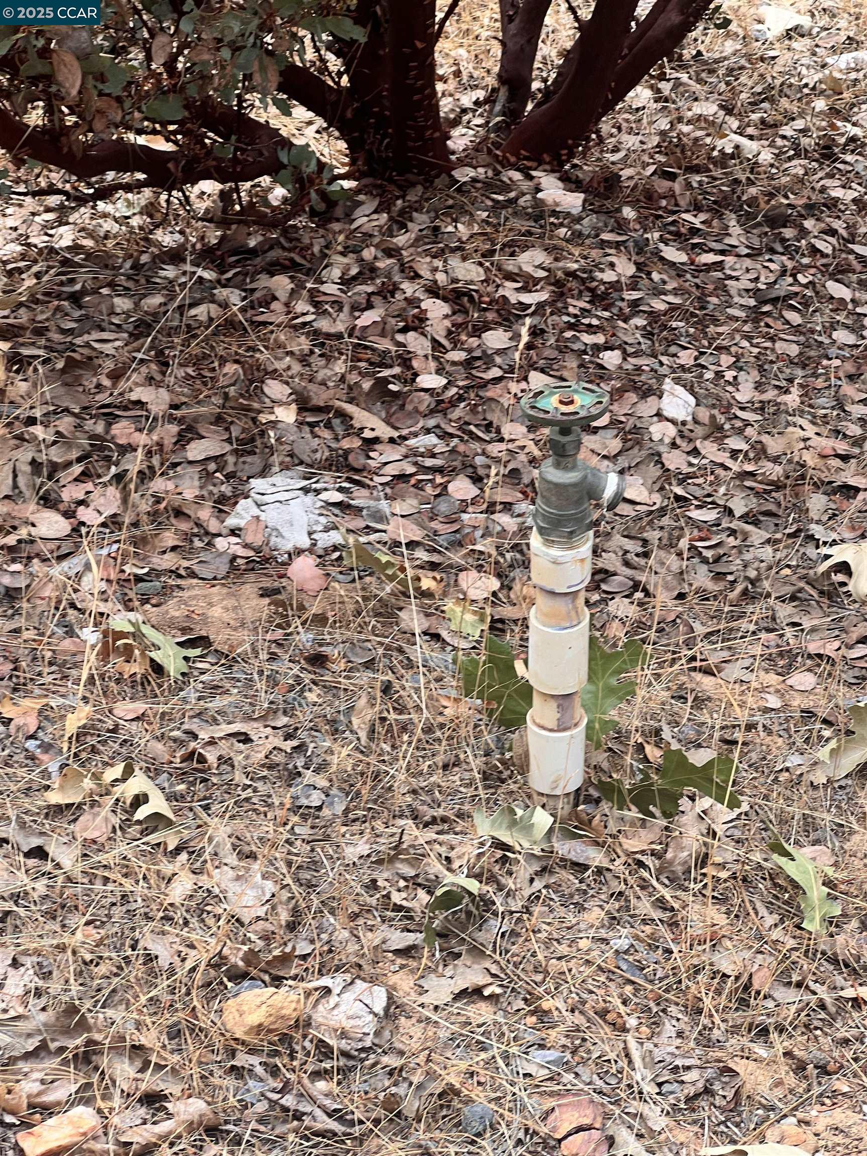 Detail Gallery Image 3 of 6 For 4040 Tin Ranch Rd, Georgetown,  CA 95634 - – Beds | – Baths