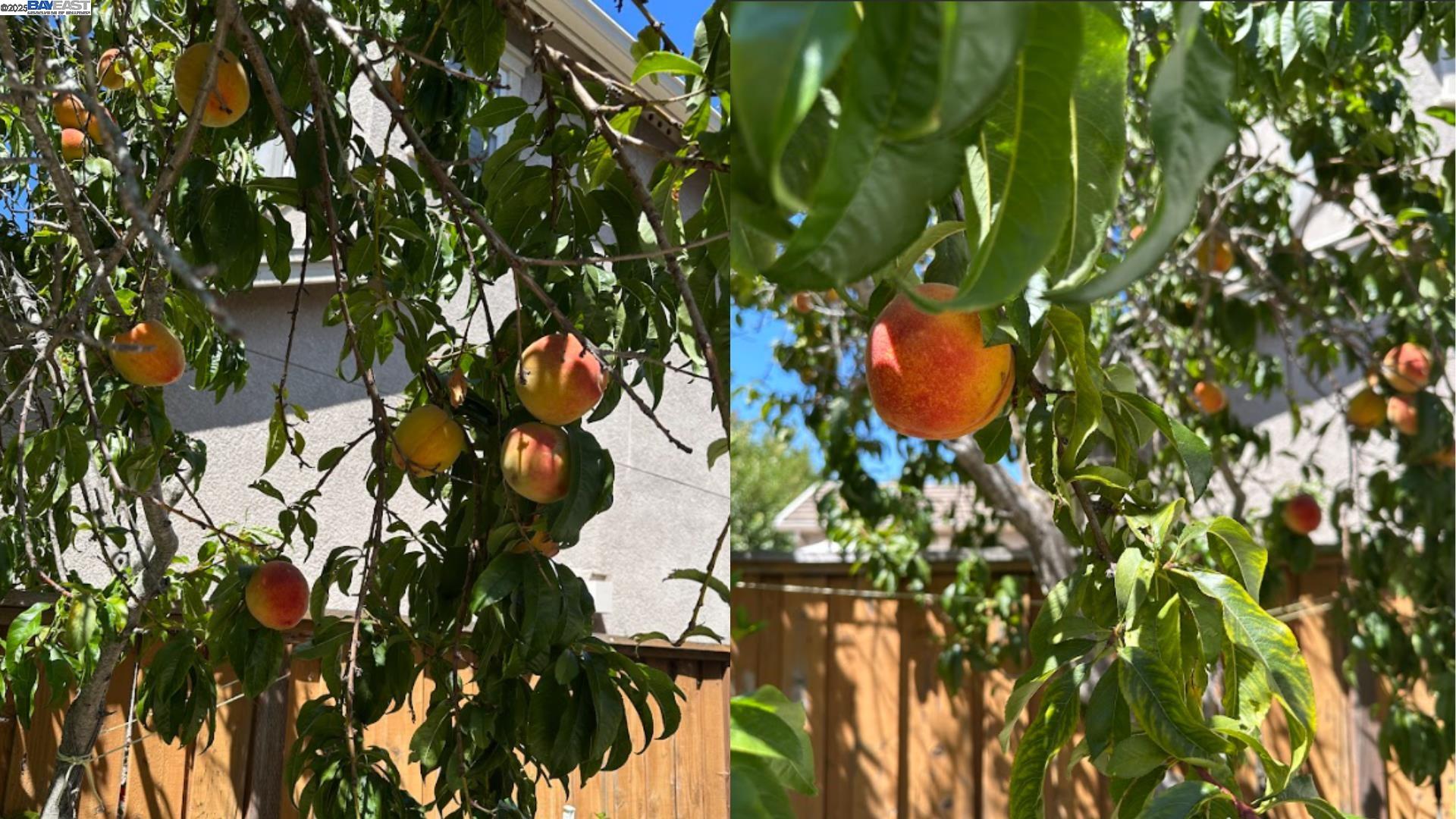 Detail Gallery Image 36 of 41 For 6278 Murdock Way, San Ramon,  CA 94582 - 4 Beds | 3 Baths