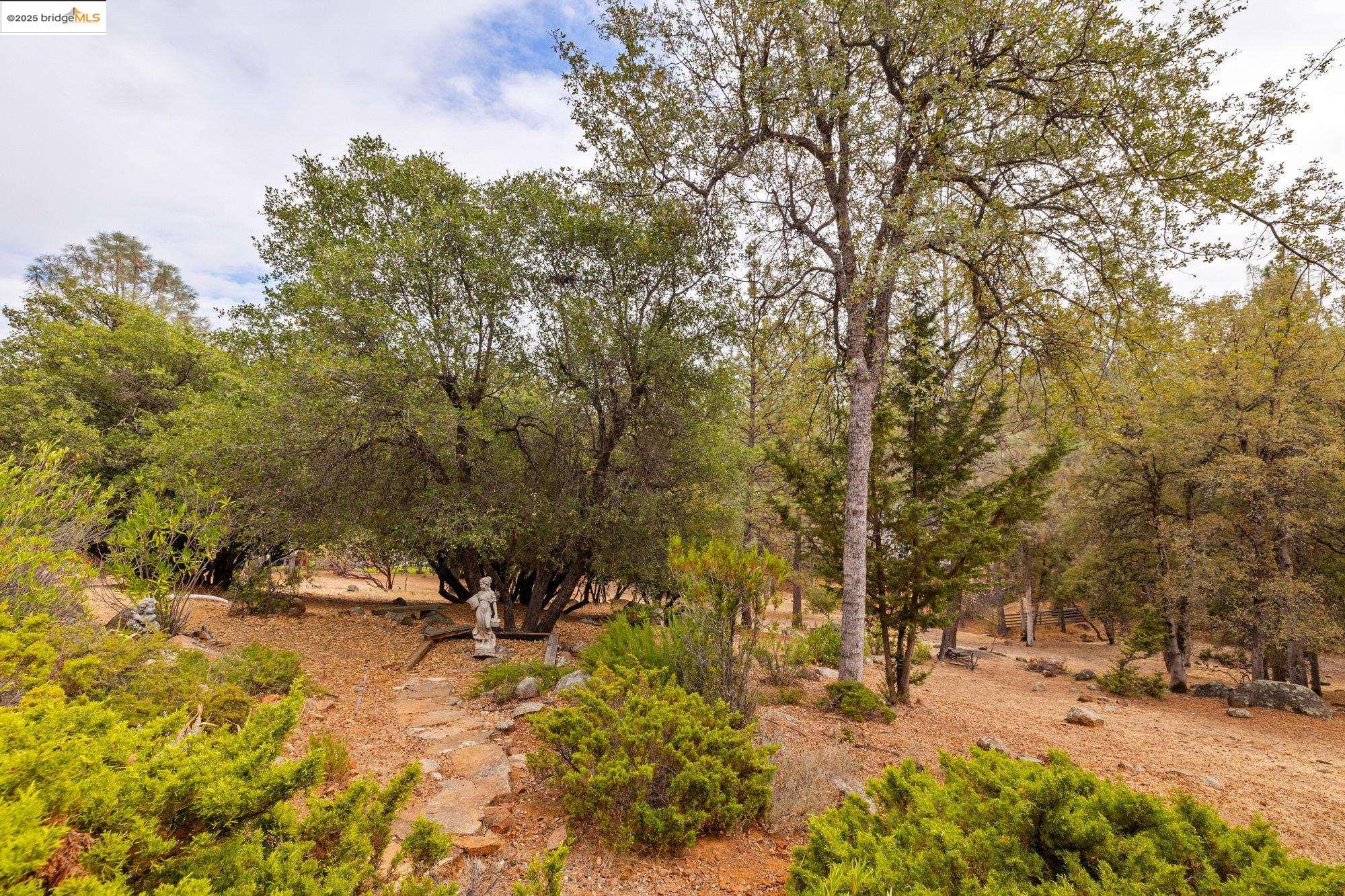 Detail Gallery Image 45 of 51 For 21320 Oneto Dr, Sonora,  CA 95370 - 3 Beds | 3 Baths