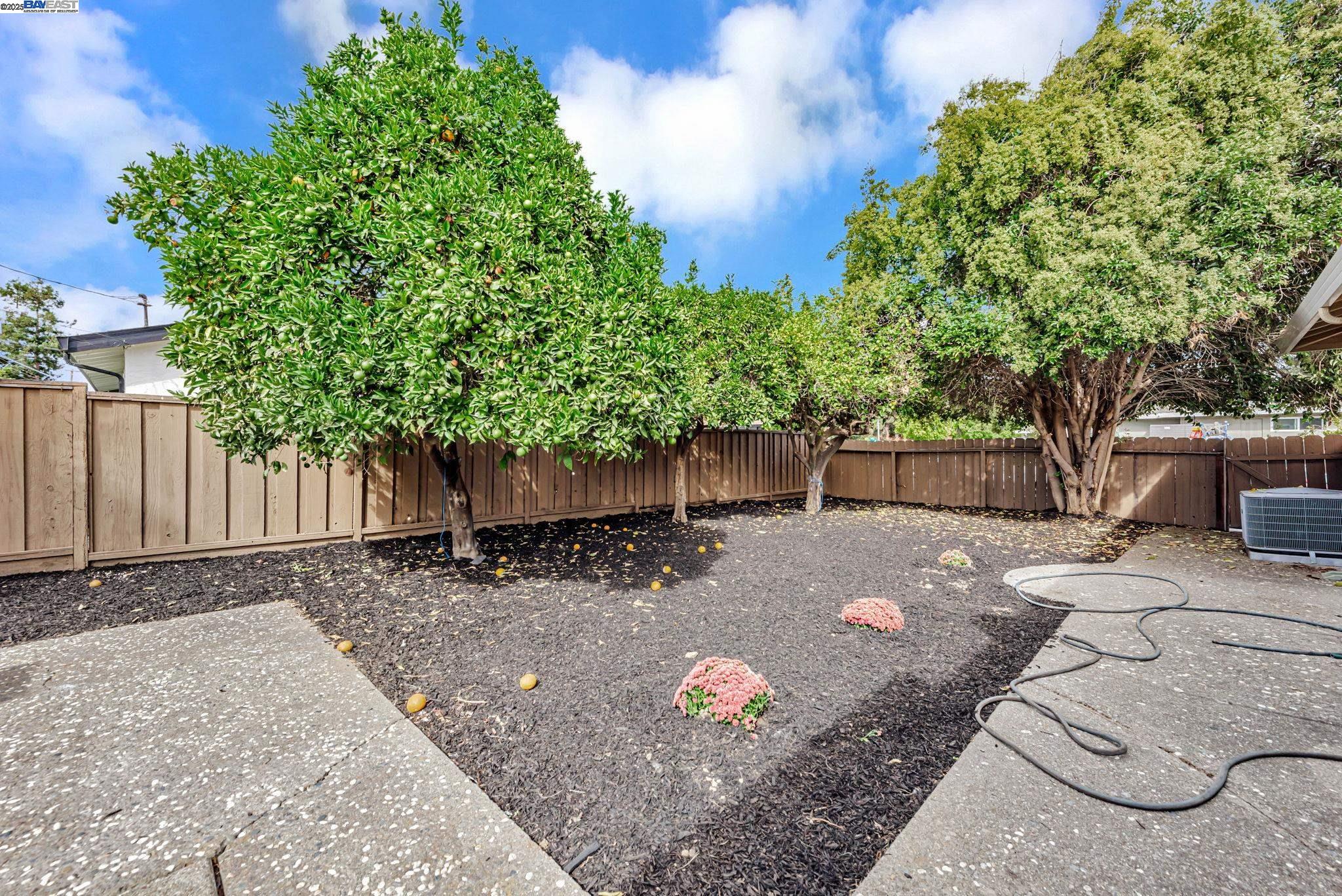 Detail Gallery Image 36 of 40 For 38131 Acacia St., Fremont,  CA 94536-3903 - 3 Beds | 2 Baths