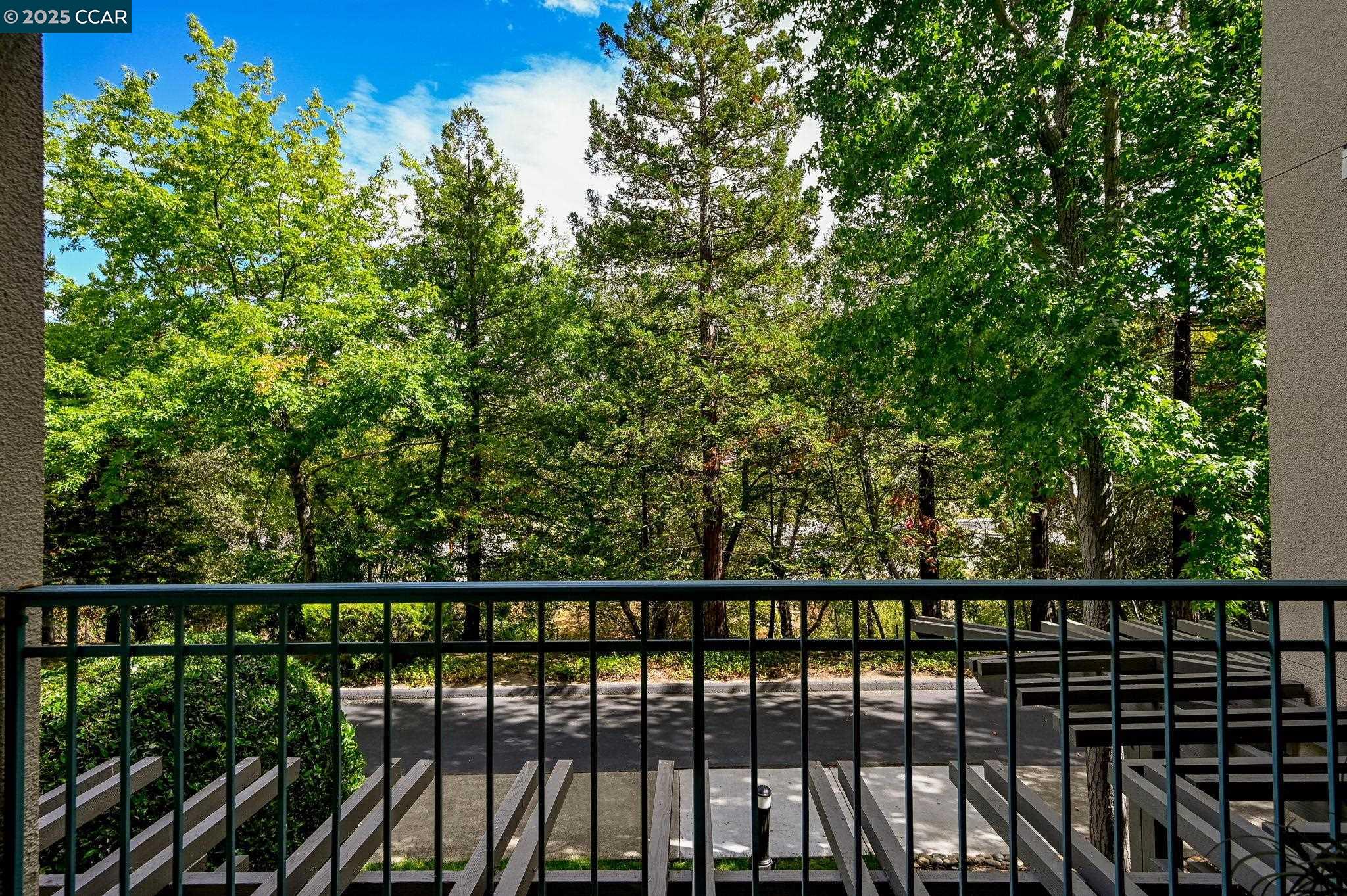 Photo #6: 41113322 Listing 