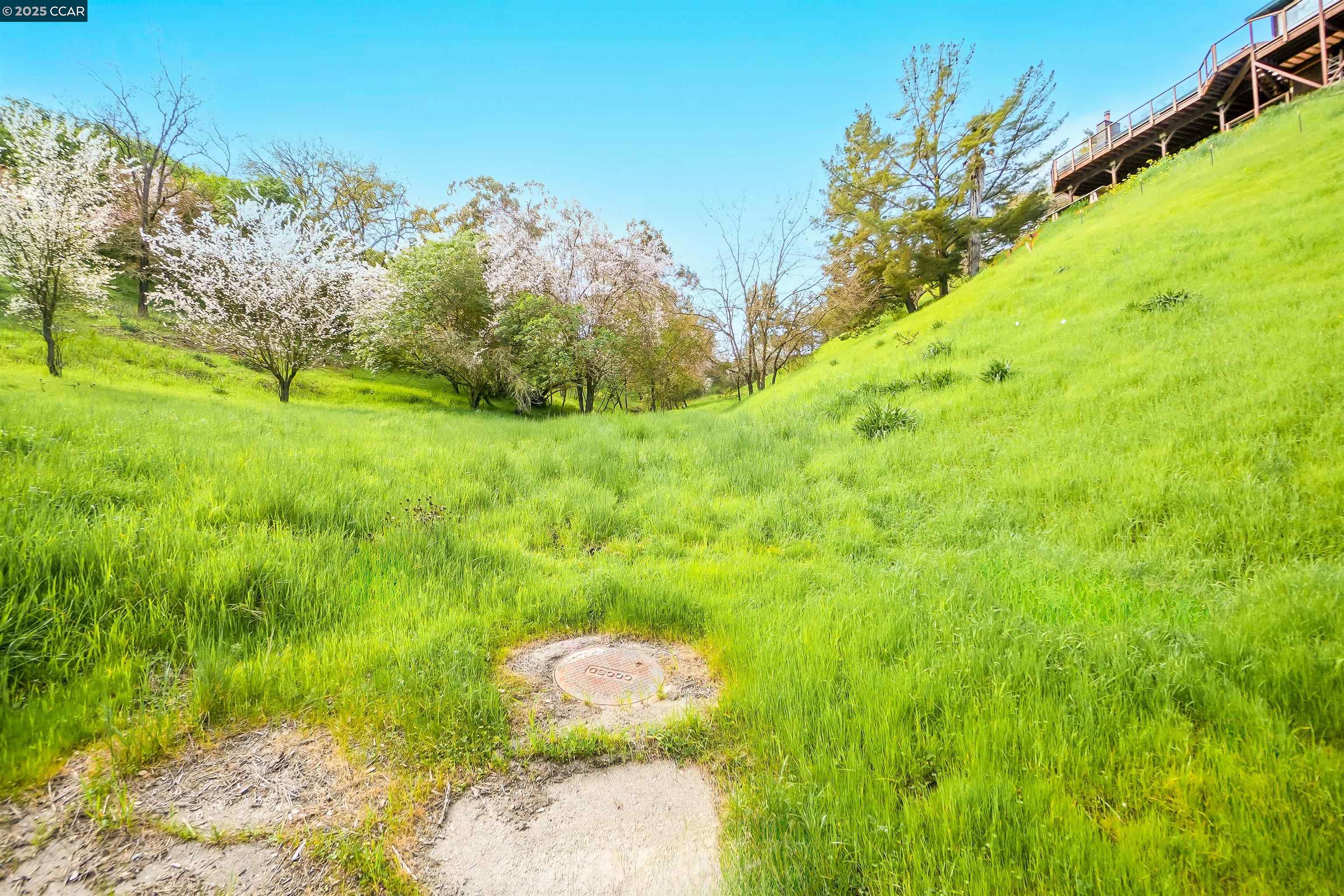 Detail Gallery Image 5 of 12 For 40 Rodrigues Ln, Walnut Creek,  CA 94597 - – Beds | – Baths