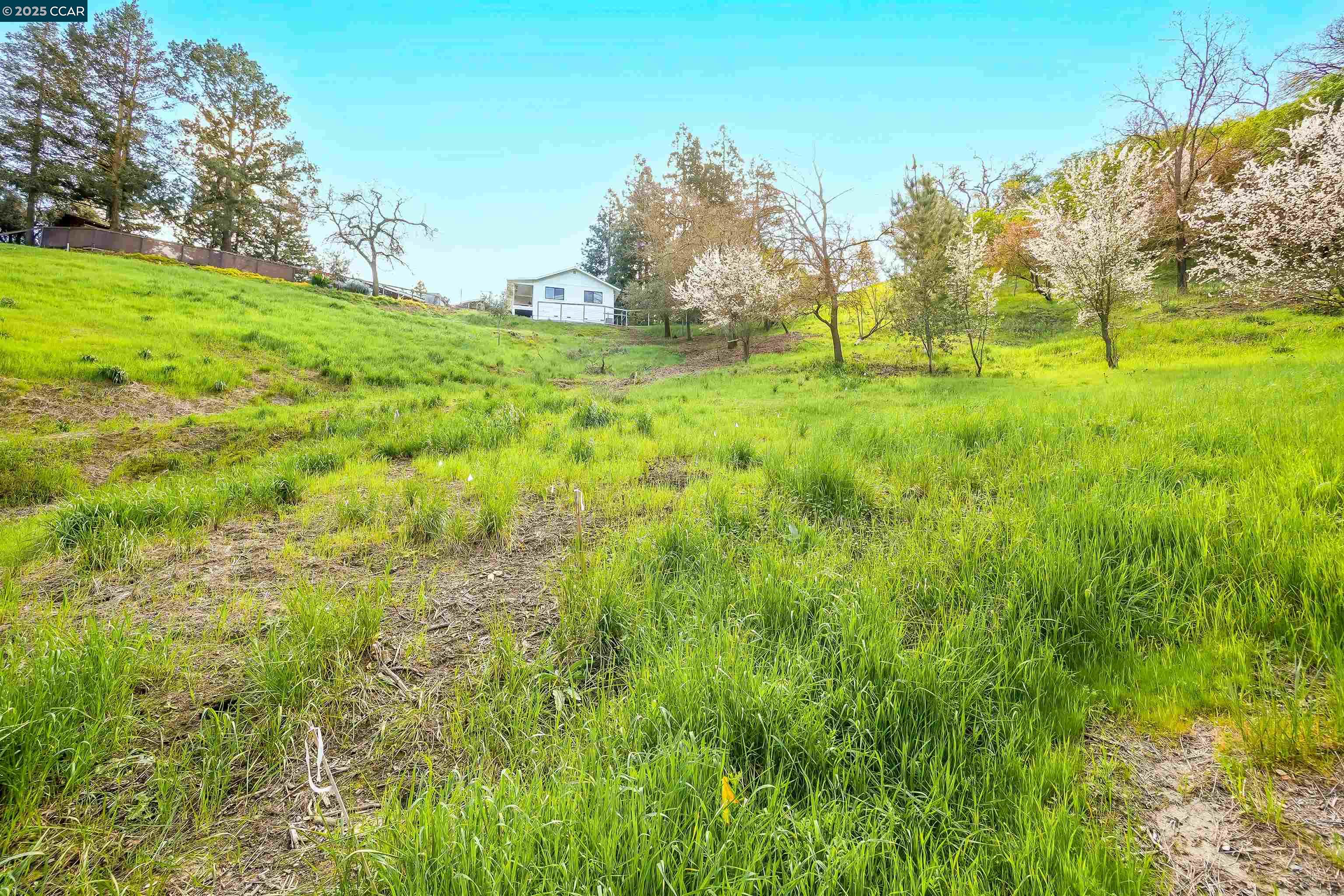 Detail Gallery Image 6 of 12 For 40 Rodrigues Ln, Walnut Creek,  CA 94597 - – Beds | – Baths