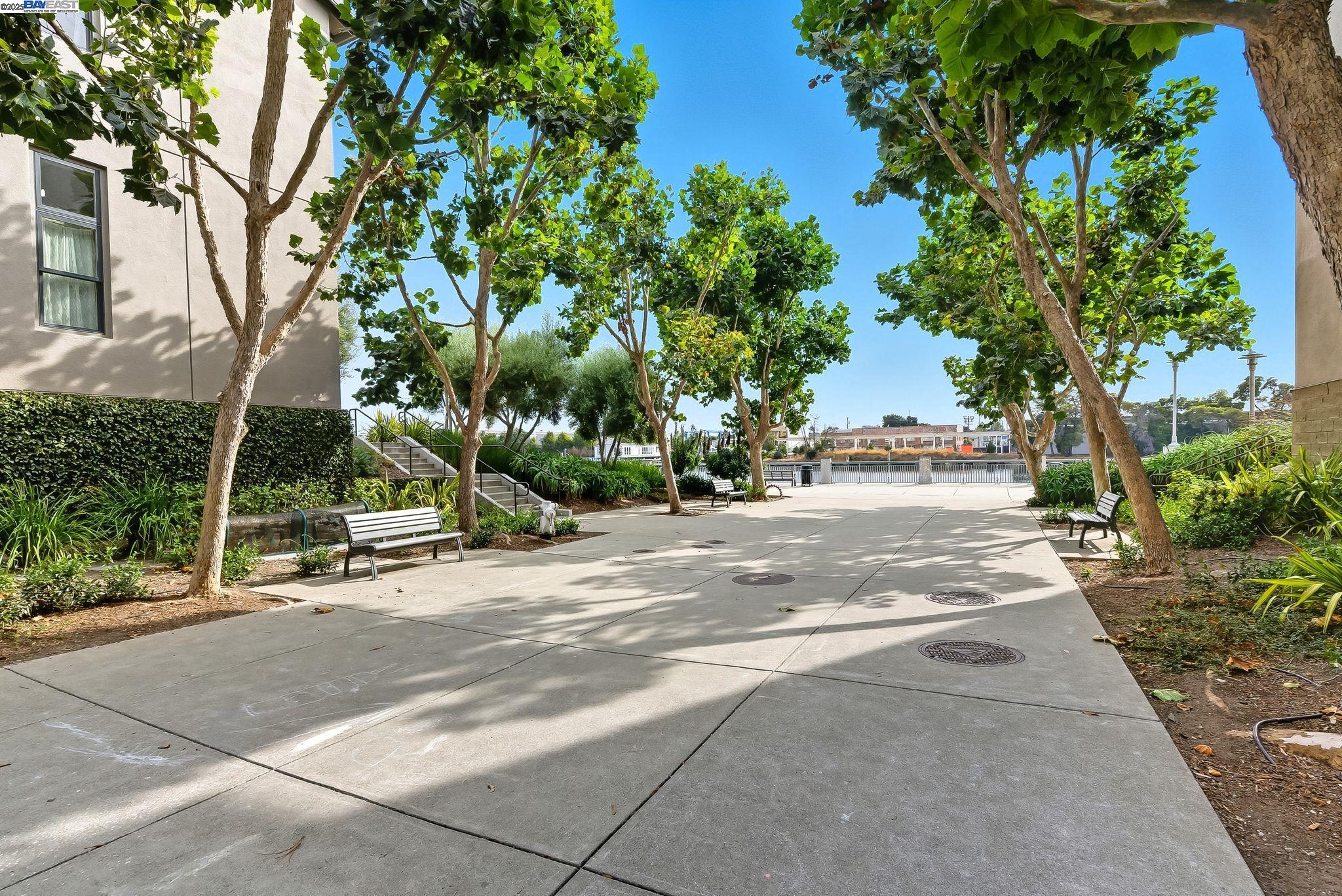 Photo #36: 41113348 Listing: Photo #36