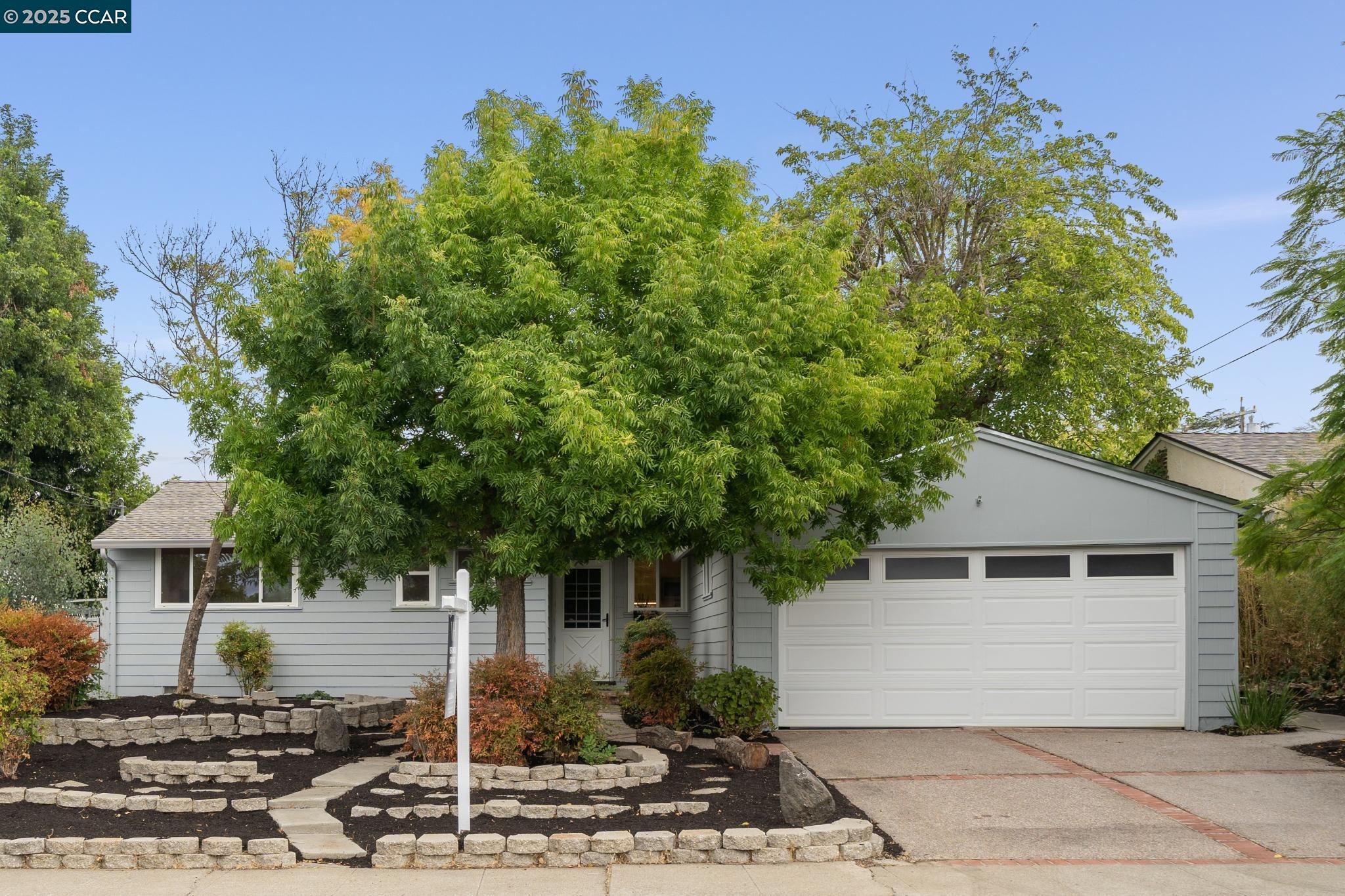 Front Image Thumbnail for CC41113381