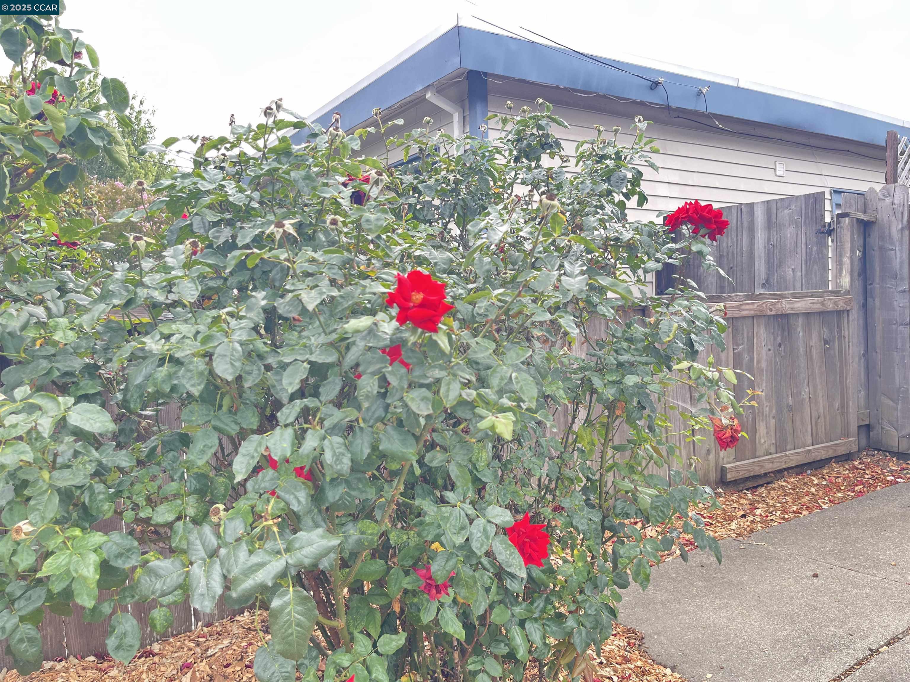 Detail Gallery Image 38 of 41 For 1665 Center Rd, Novato,  CA 94947 - 4 Beds | 2 Baths