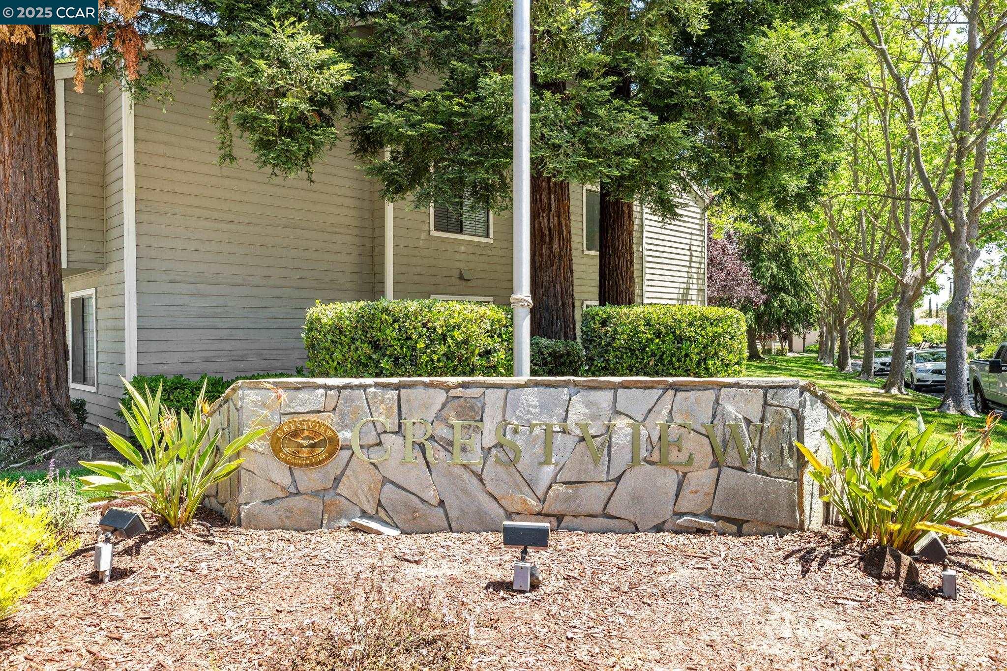 Front Image Thumbnail for CC41113386