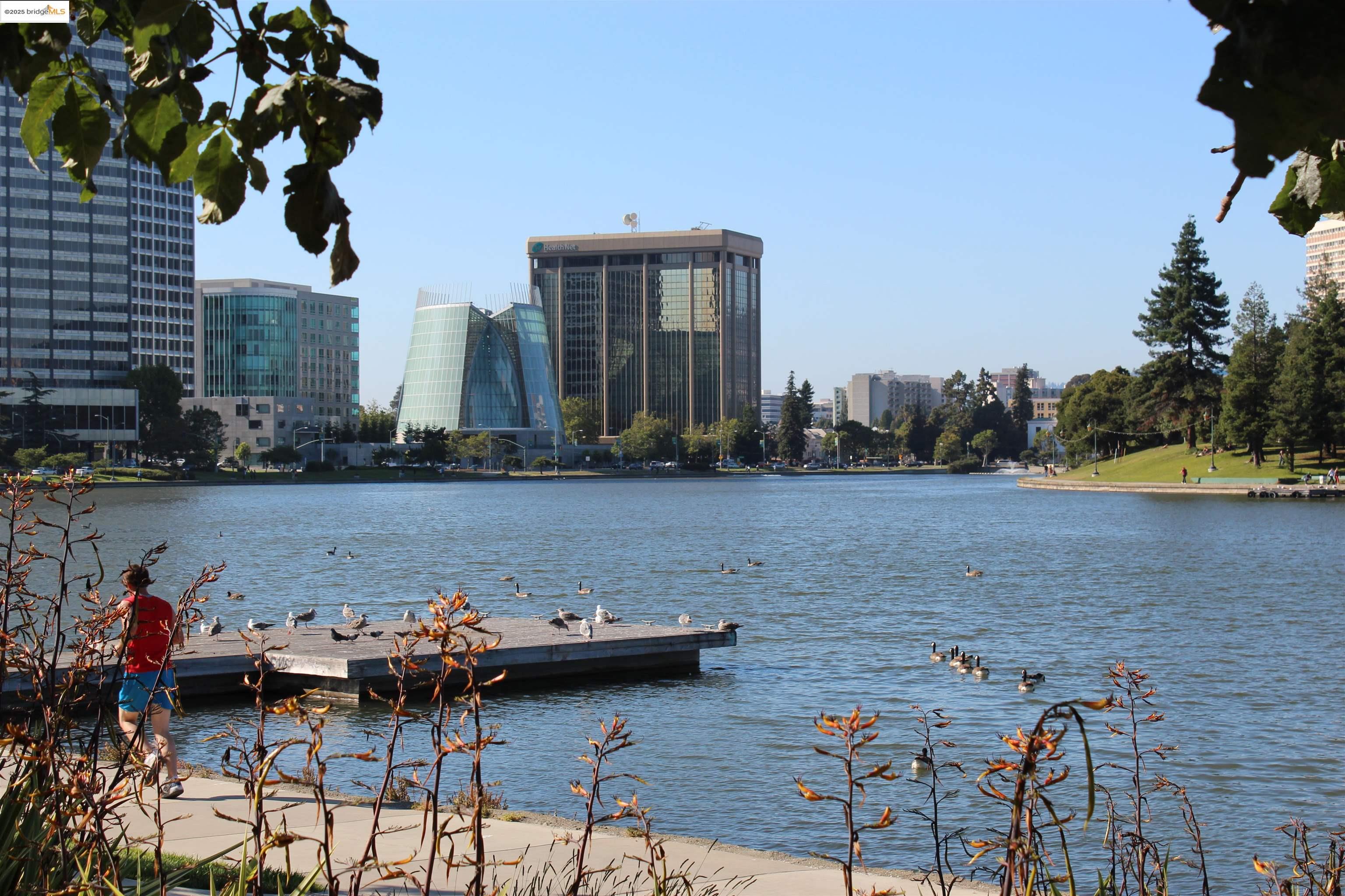 Photo #20: 41113396 Listing: Photo #20