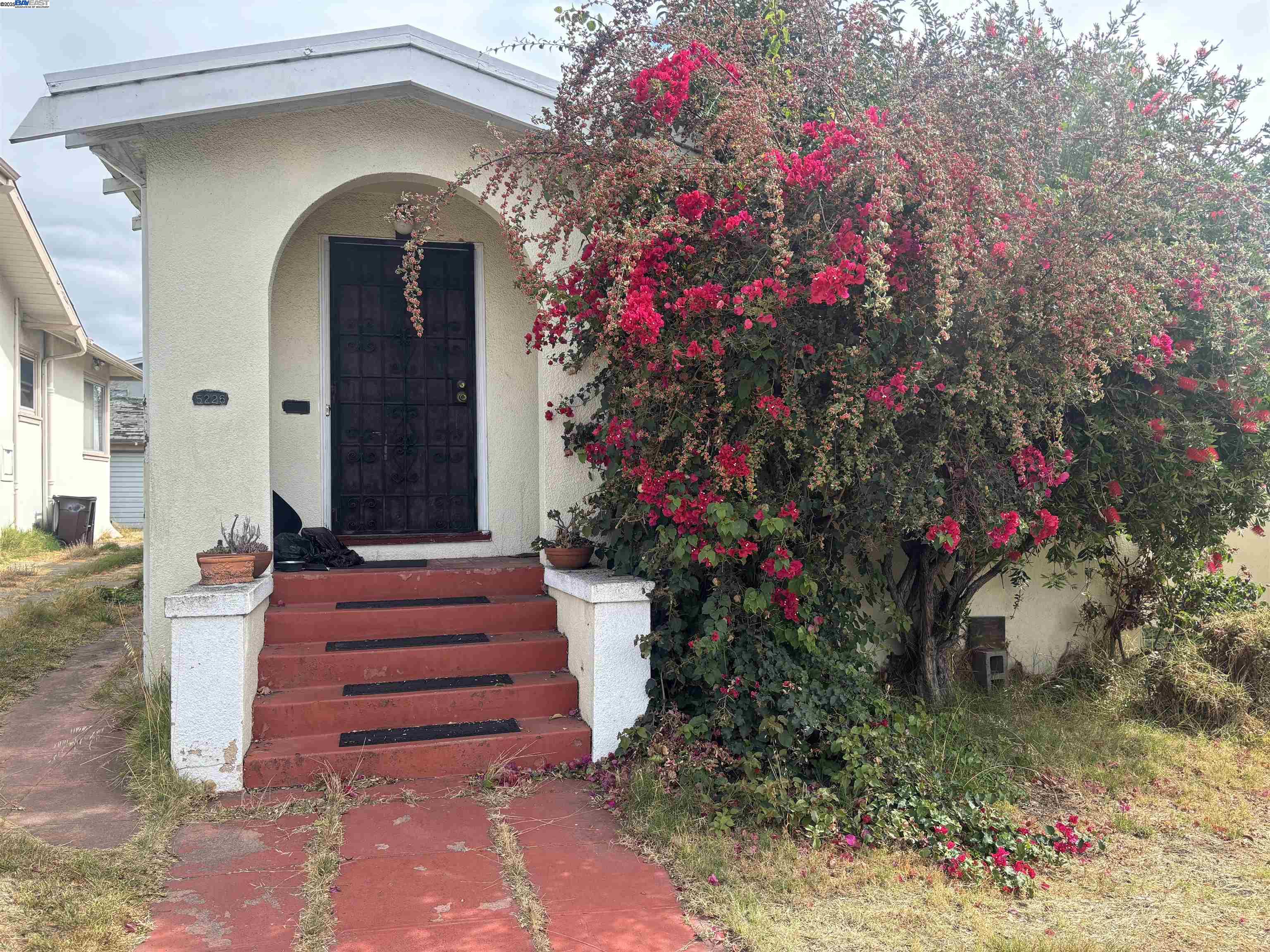 Front Image Thumbnail for BE41113423