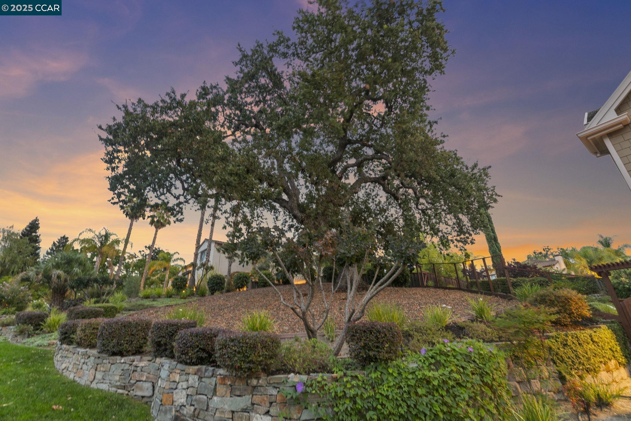 Detail Gallery Image 57 of 60 For 212 Hawk Ct, Alamo,  CA 94507 - 4 Beds | 3/1 Baths