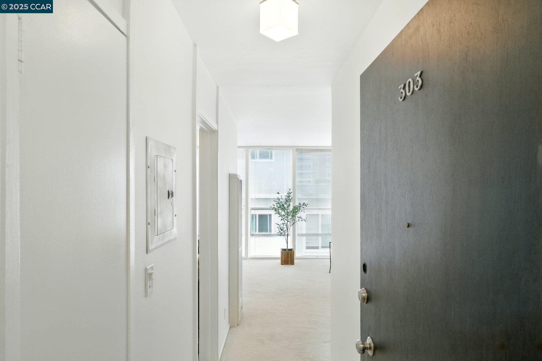 Photo #3: 41113441 Listing: Photo #3