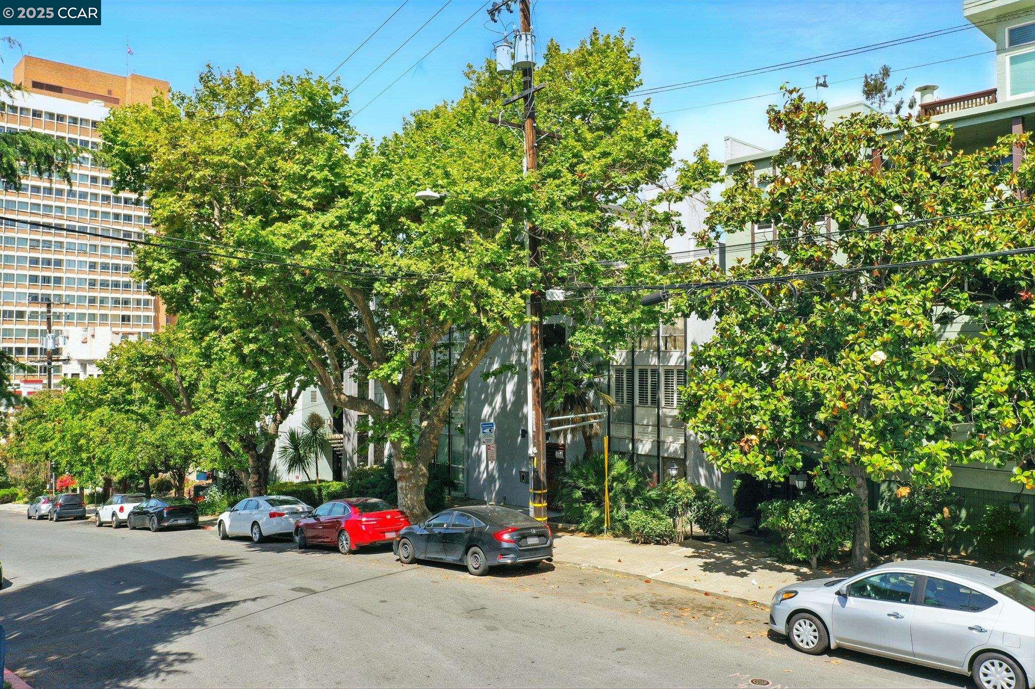 Photo #38: 41113441 Listing: Photo #38