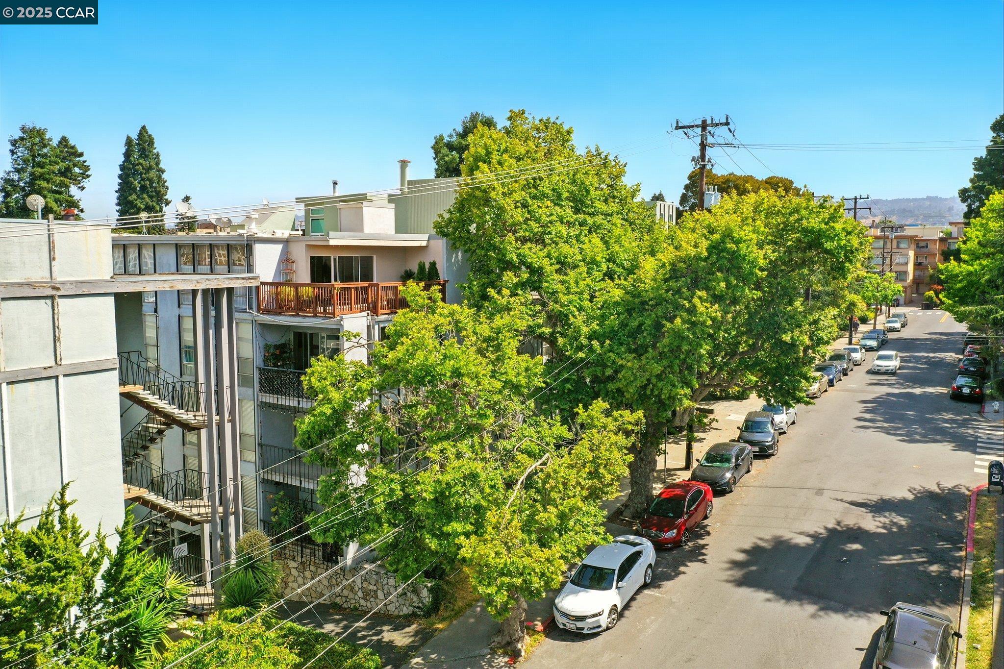 Photo #39: 41113441 Listing: Photo #39