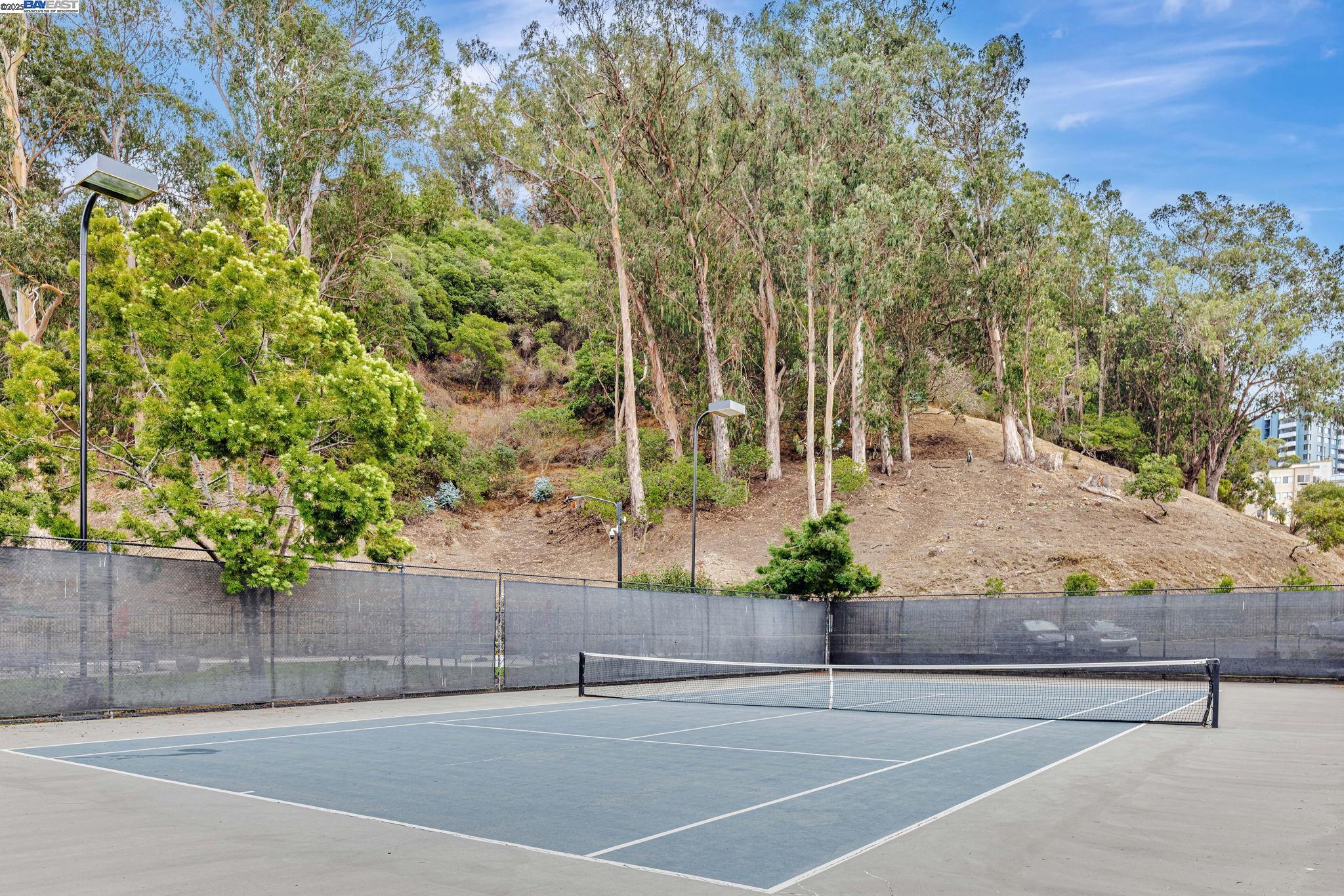 Photo #55: 41113486 Listing: Photo #55