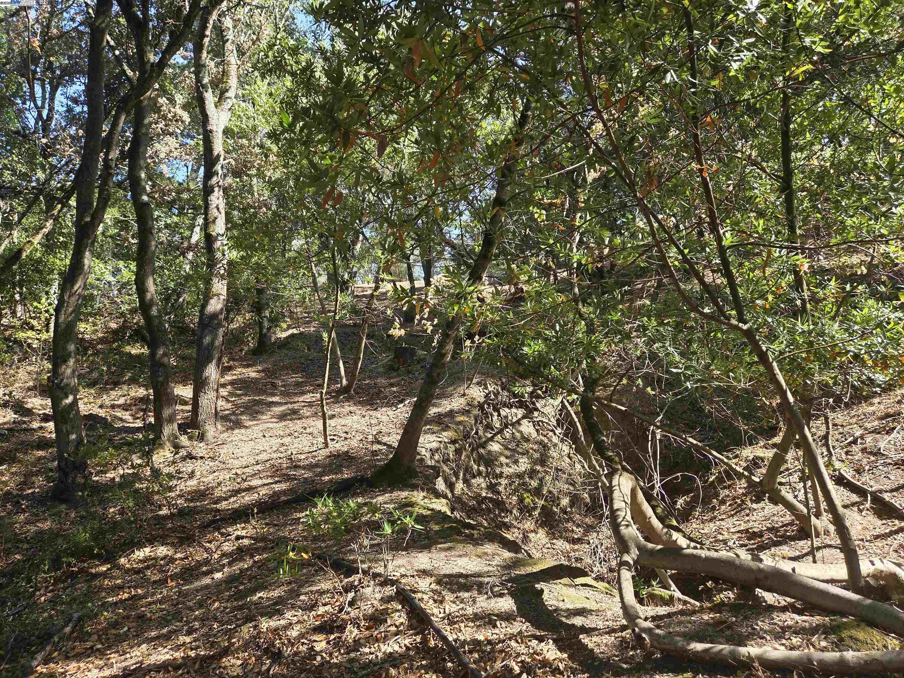 Detail Gallery Image 12 of 24 For 12 Vista Del Orinda, Orinda,  CA 94563 - – Beds | – Baths