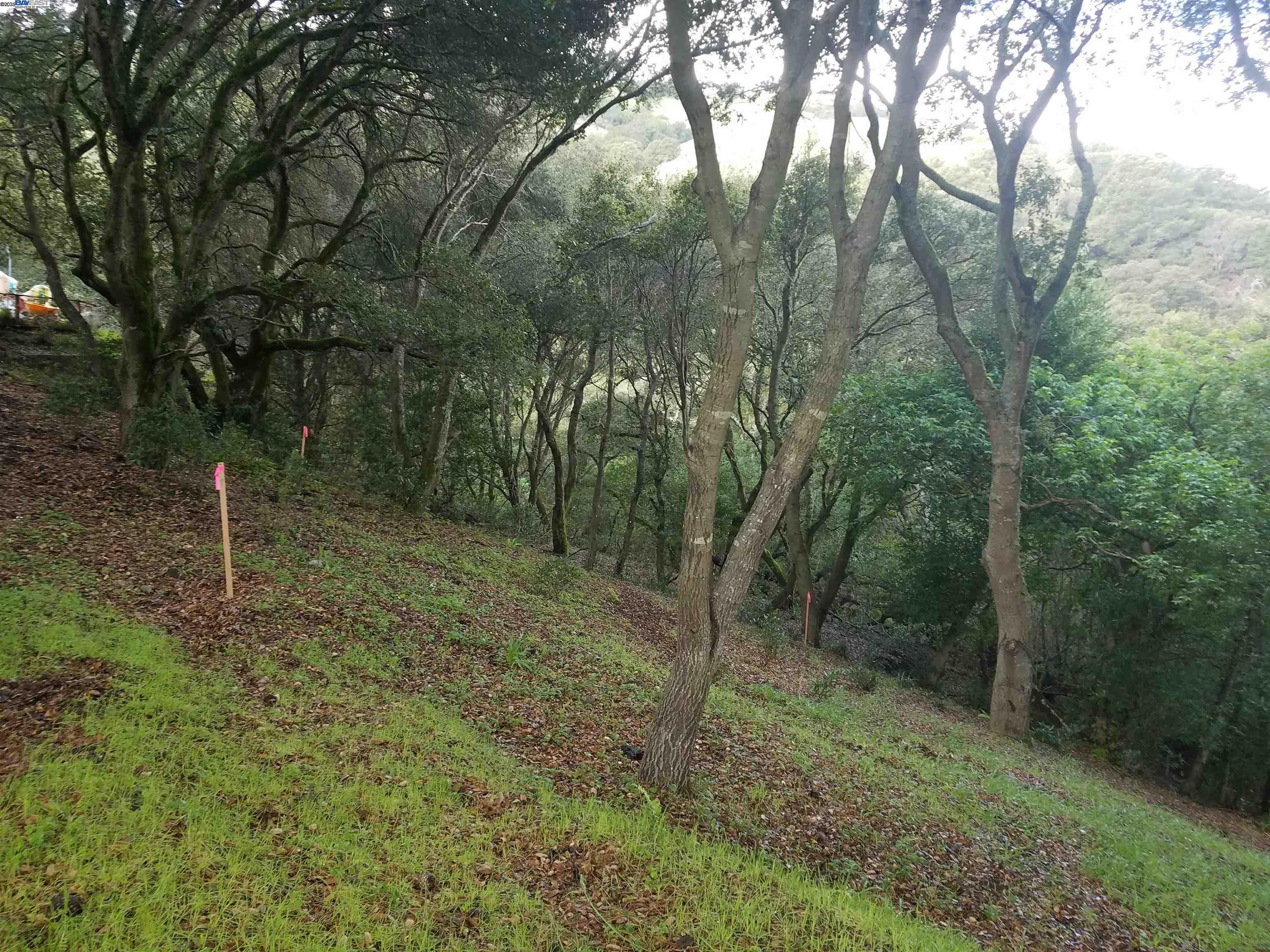 Detail Gallery Image 5 of 24 For 12 Vista Del Orinda, Orinda,  CA 94563 - – Beds | – Baths