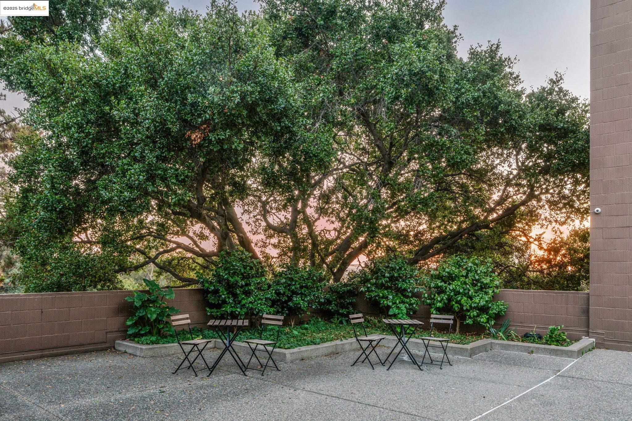 Photo #36: 41113529 Listing: Photo #36