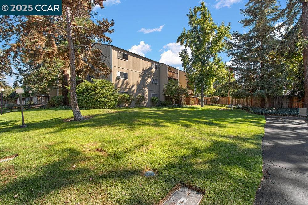 Photo #21: 41113567 Listing: Photo #21