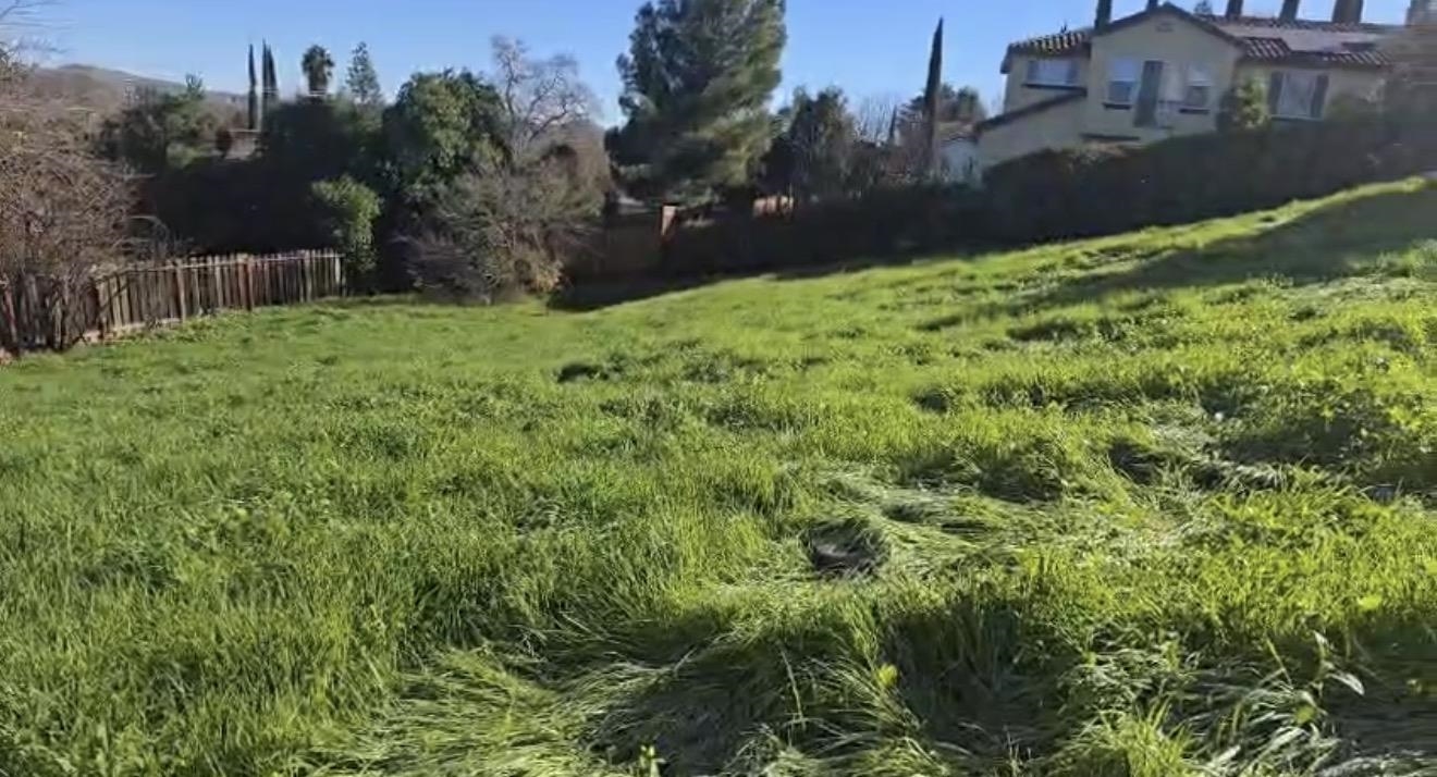 Front Image Thumbnail for CC41113581