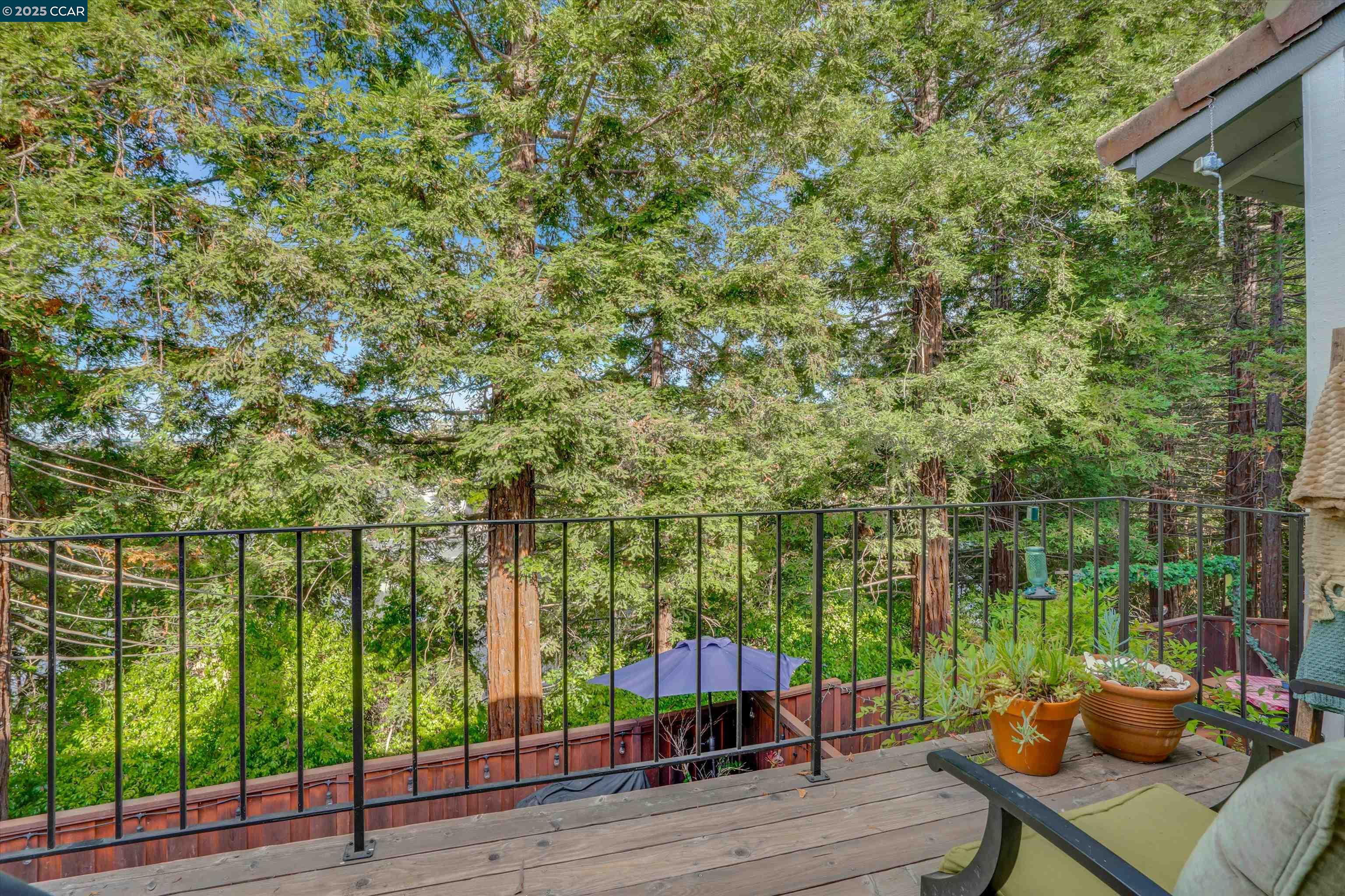 Photo #8: 41113646 Listing: Photo #8