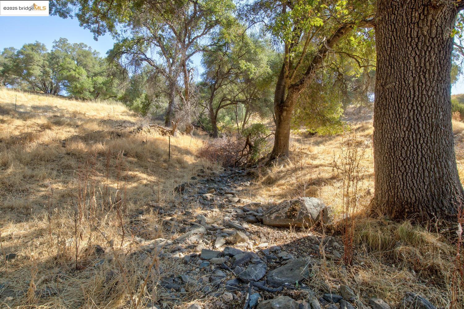 Detail Gallery Image 19 of 54 For 20351 Tuttletown Road, Sonora,  CA 95370 - – Beds | – Baths